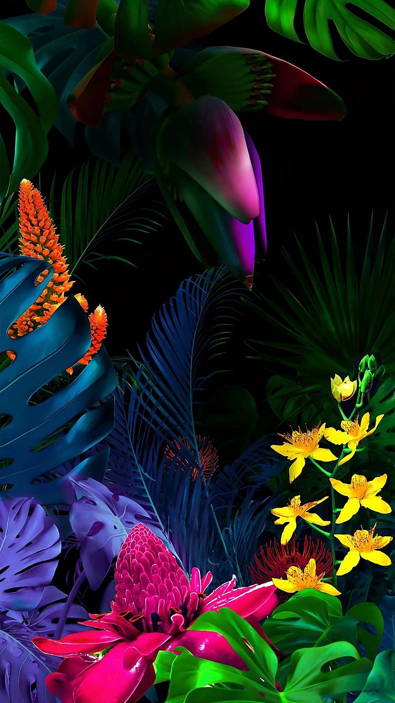 800x1422 Vivo Mobile, Colorful Leaves, nature, HD phone wallpaper