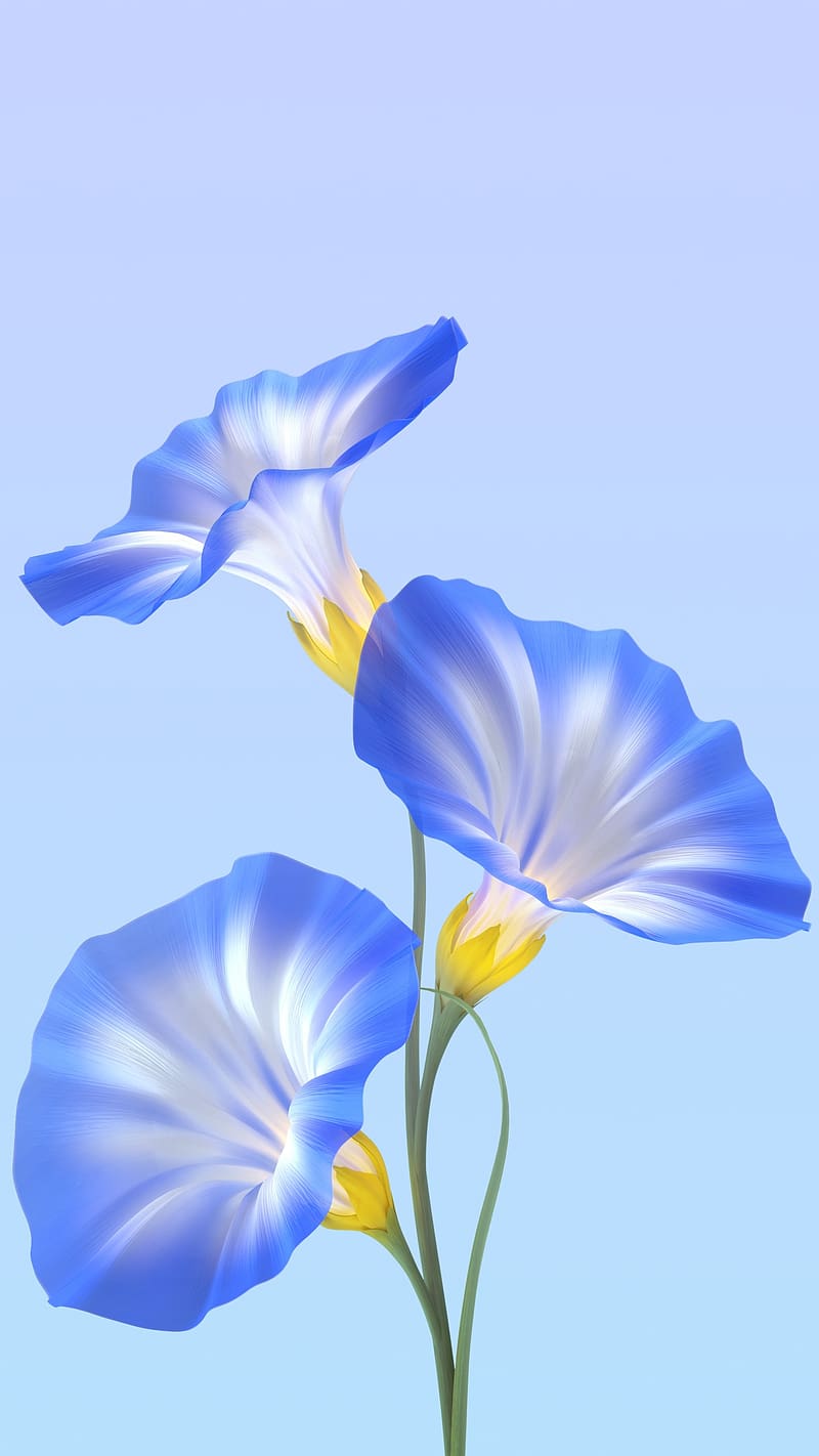 800x1422 Vivo Mobile, Blue Flowers, nature, HD phone wallpaper