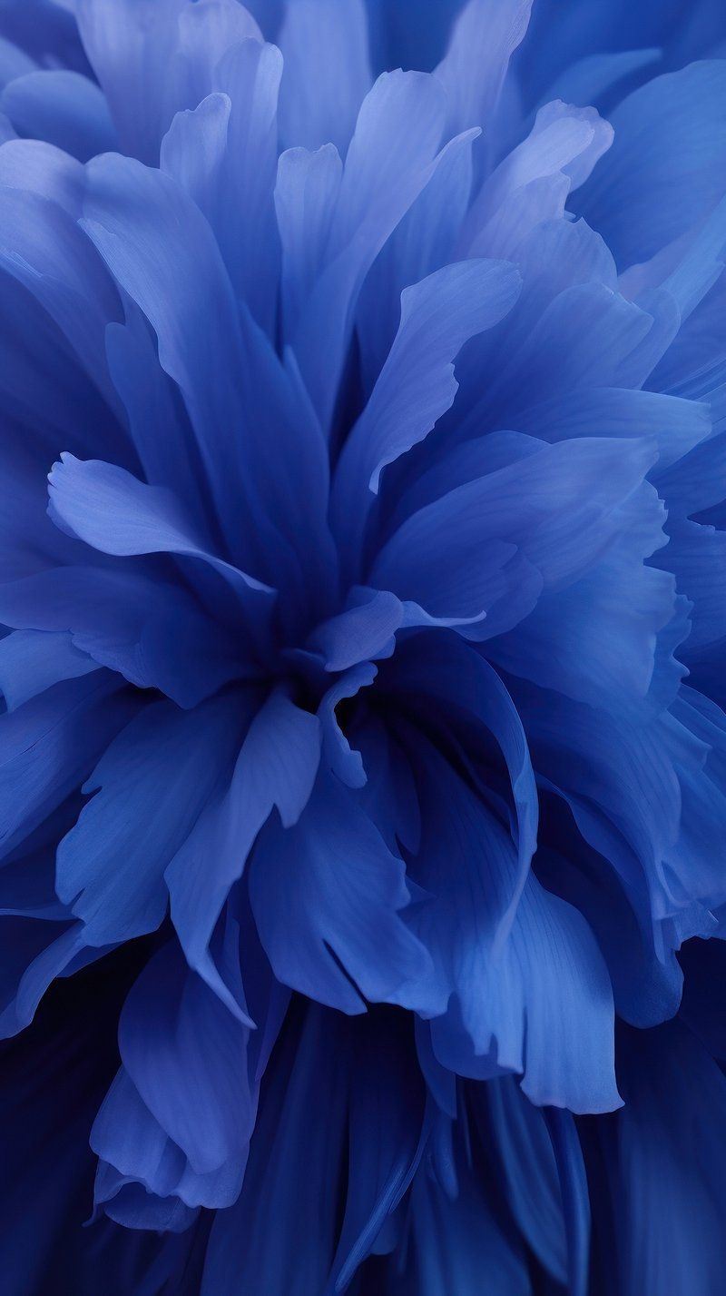 800x1427 Deep blue vibes Background Wallpaper. Free Photo Illustration