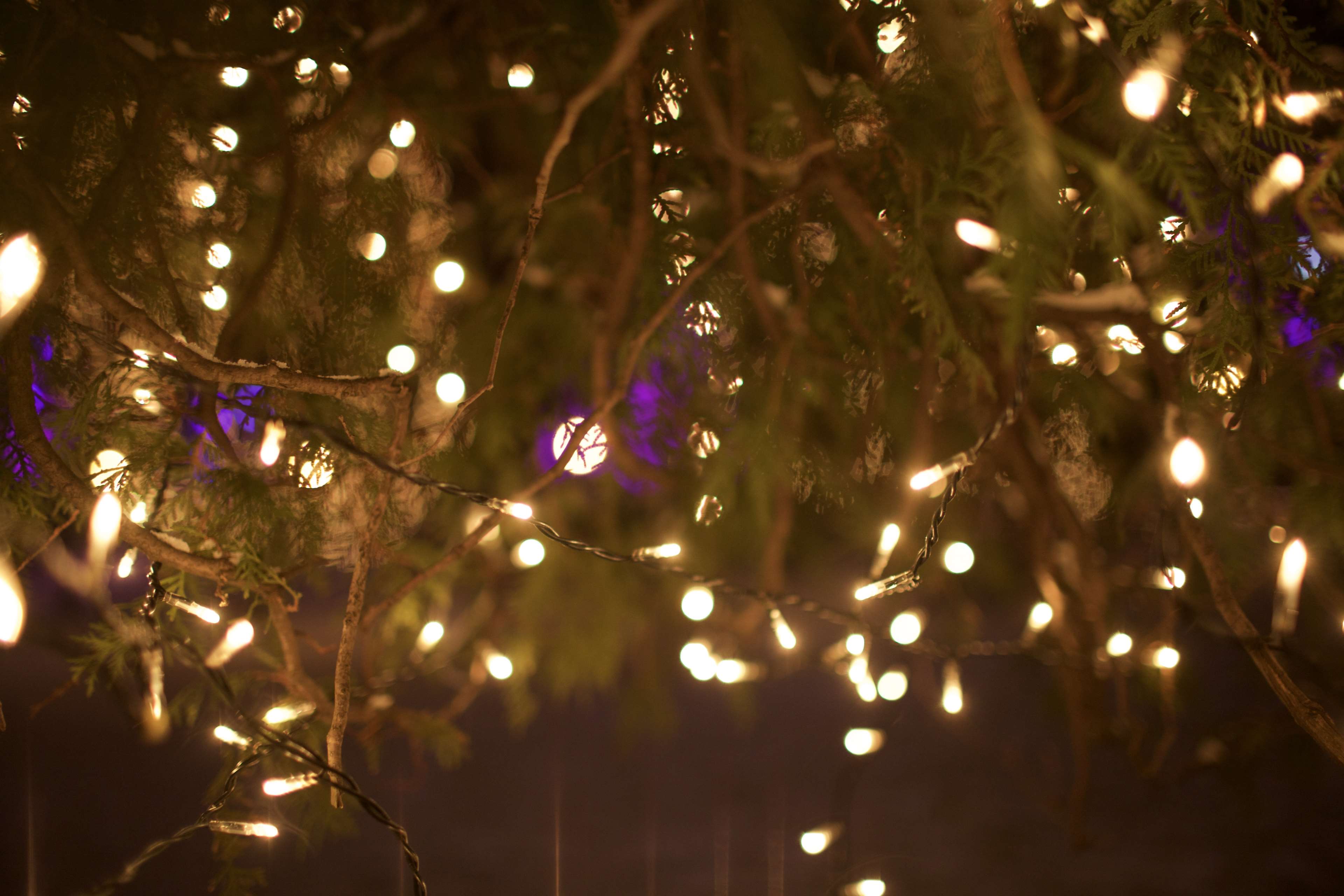 3840x2560 background, bokeh, christmas, christmas decoration, christmas lights, dark, deep, gold, green, HD wallpaper, holiday, holidays, light, lights, tree, winter 4k wallpaper. Mocah.org HD Desktop Wallpaper