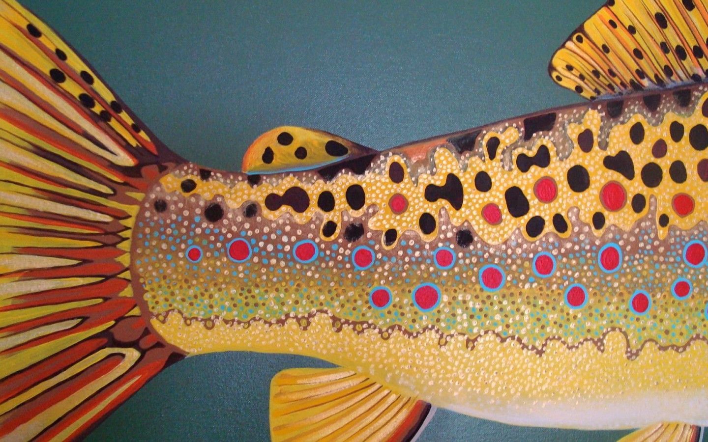 1440x900 Trout Wallpaper 1920x1080 81704