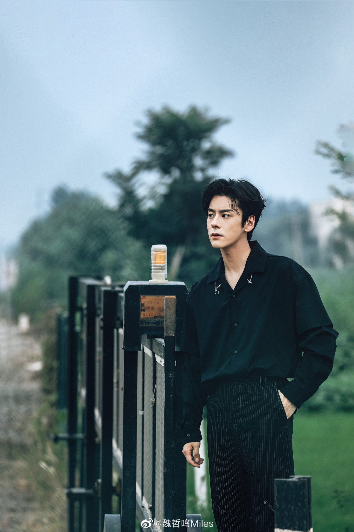 1365x2048 Miles Wei Wallpaper