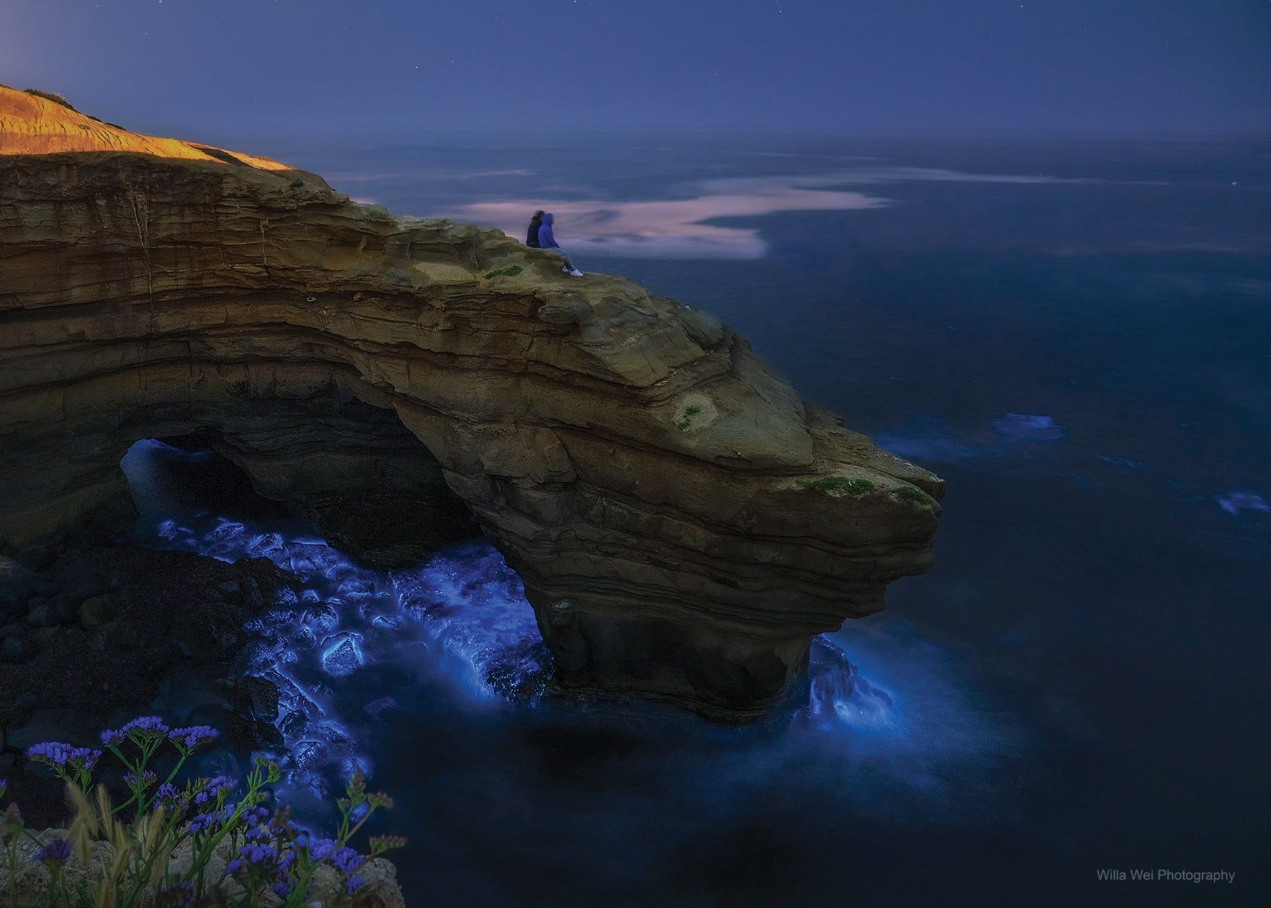 1840x1314 Underwater Wonders. Sea Island Resort
