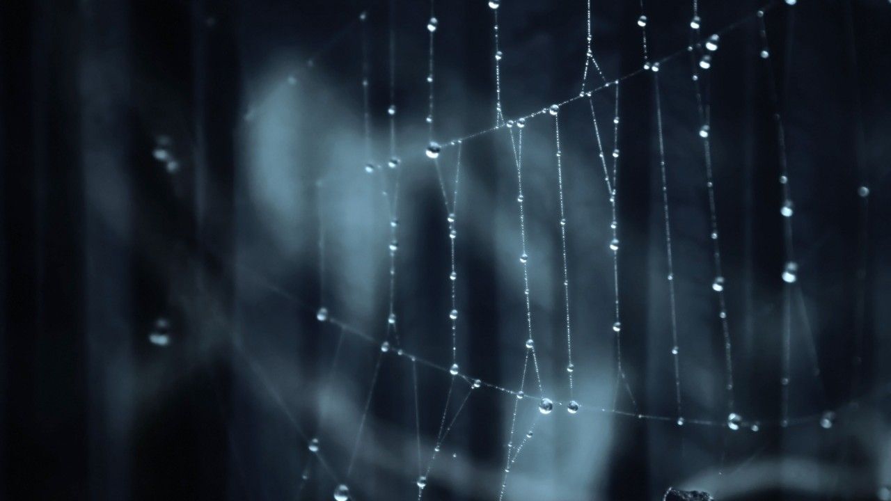 1280x720 Secrets of the Dark Web