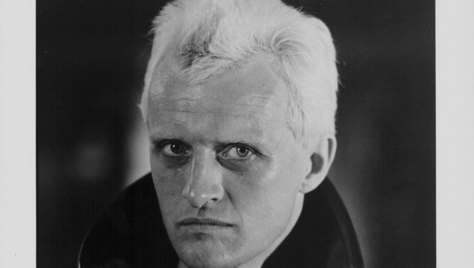 1531x864 Rutger Hauer: The European who brought pioneering nuance to Hollywood New World