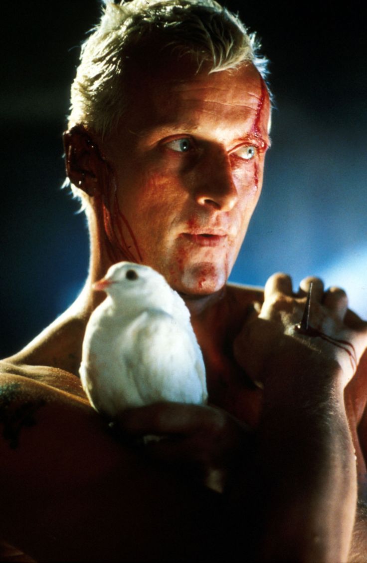 736x1128 Rutgers ideas. rutger hauer split second, rutger hauer nighthawks, rutger hauer flesh and blood