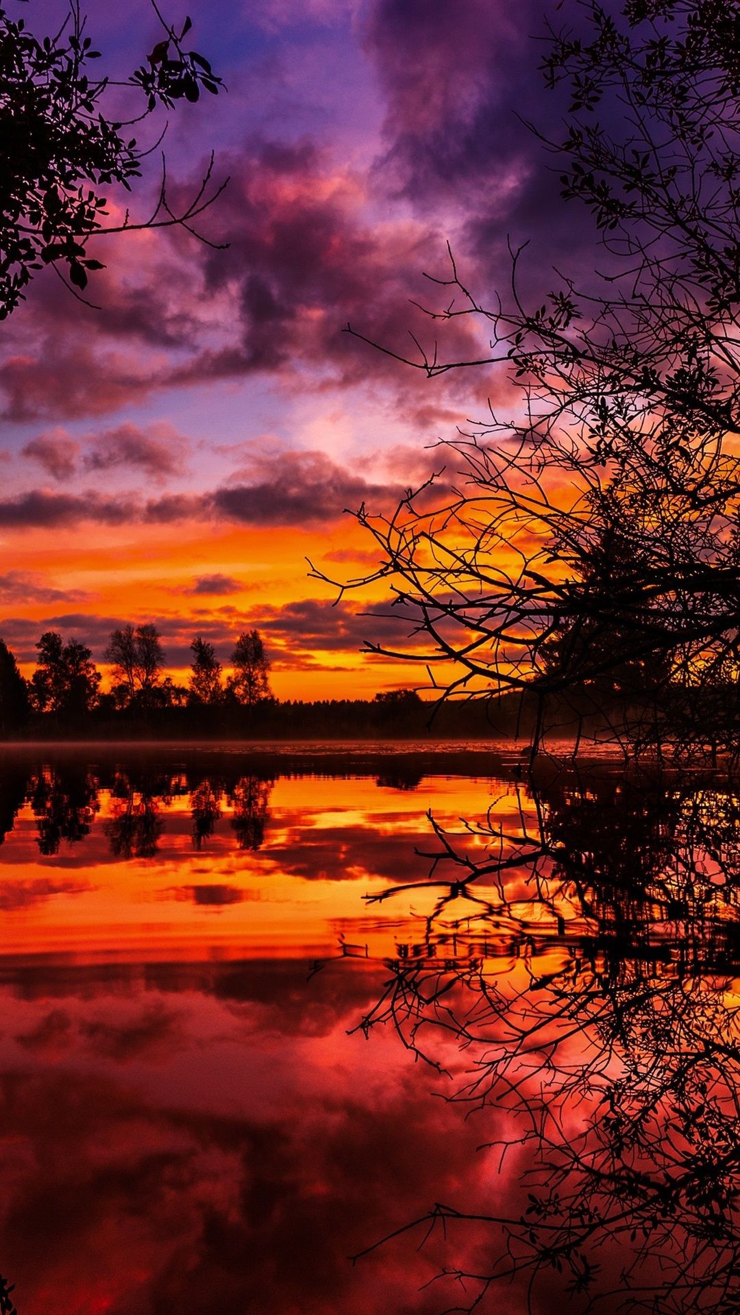 1080x1920 Lake, Clouds, Trees, Twigs, Sunset, Red Sky 1080x1920 IPhone 8 7 6 6S Plus Wallpaper, Background, Picture, Image