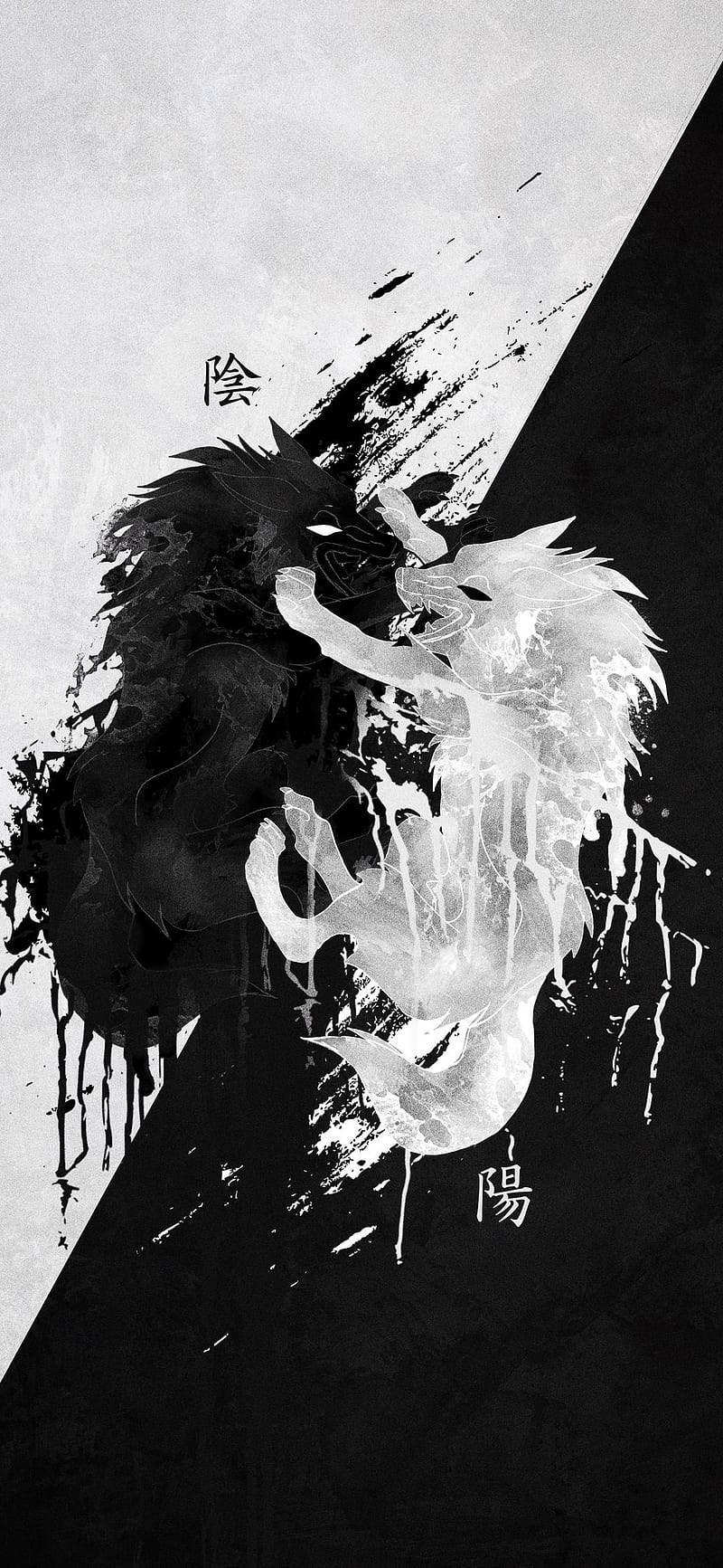 800x1733 Black white, black, game, white, HD phone wallpaper