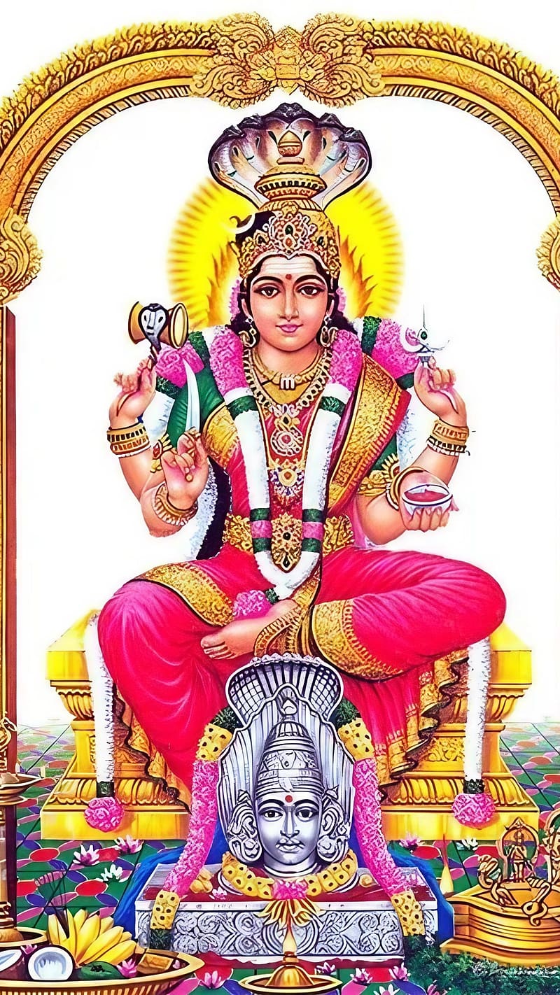 800x1422 Mariamman, Goddess Of Rain, amman, HD phone wallpaper