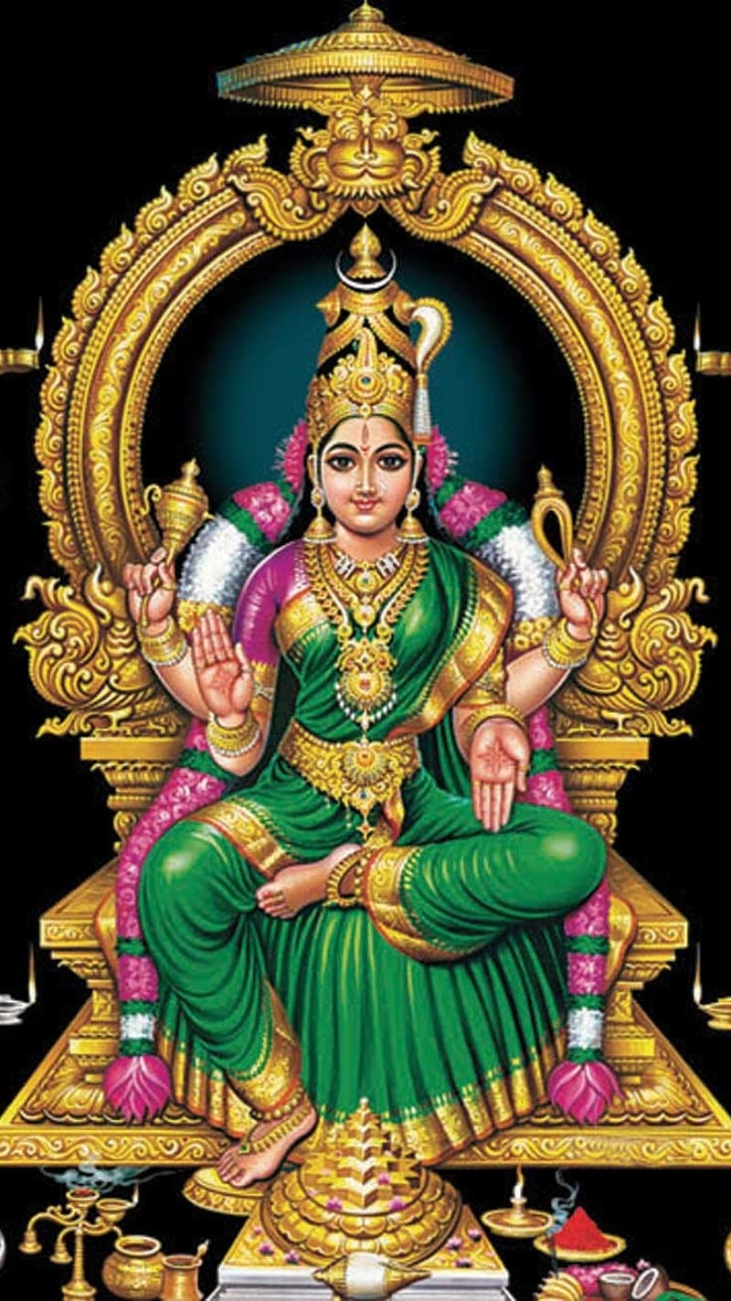 800x1423 HD amman wallpaper