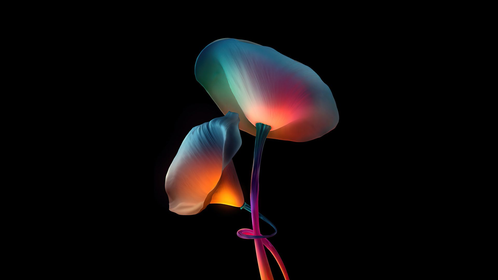 1920x1080 Flowers Oled Laptop Full HD 1080P , HD 4k Wallpaper, Image, Background, Photos and Picture