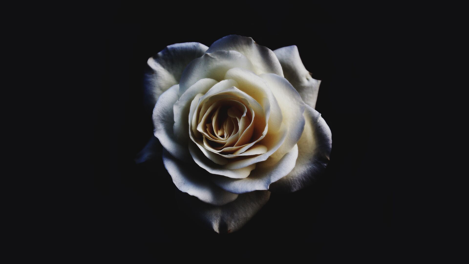 1920x1080 Oled 1920x1080 Wallpaper