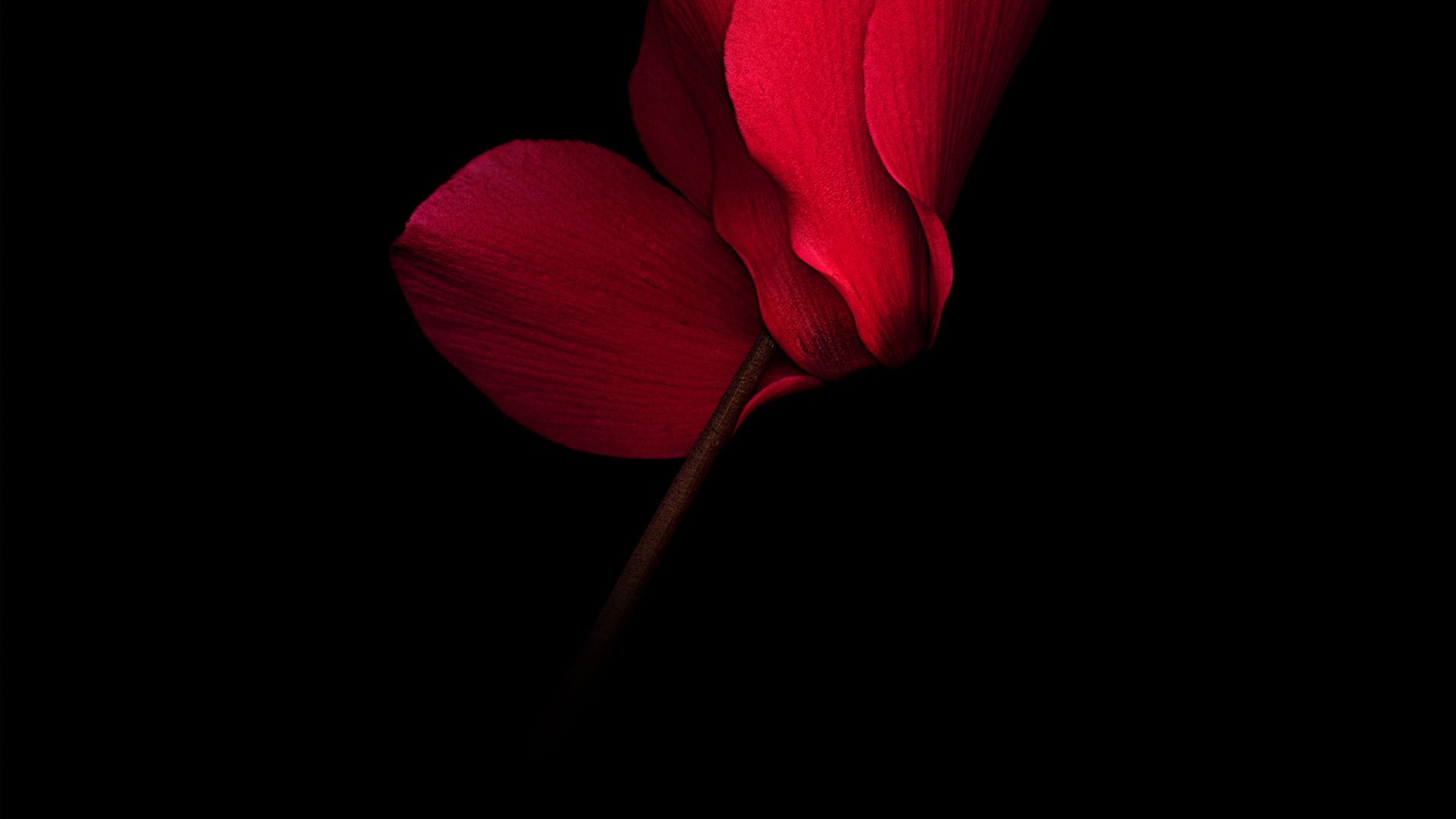 1920x1080 Full HD, HDTV, 1080p 16:9 OLED Wallpaper Free 1920x1080 High Quality Background