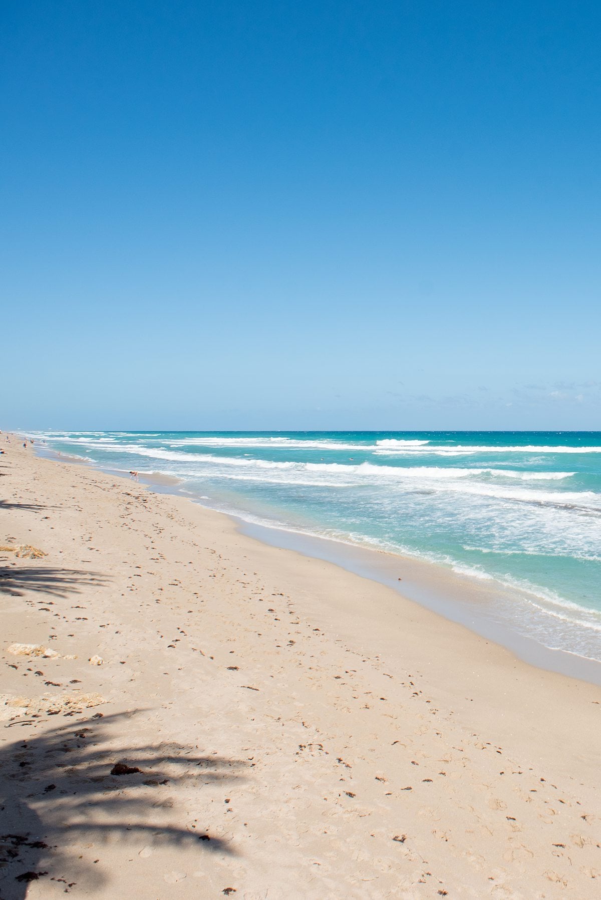 1200x1797 Eau Palm Beach Florida Photo Destination Palm Beach Palm Coast Florida State United States Of America USA