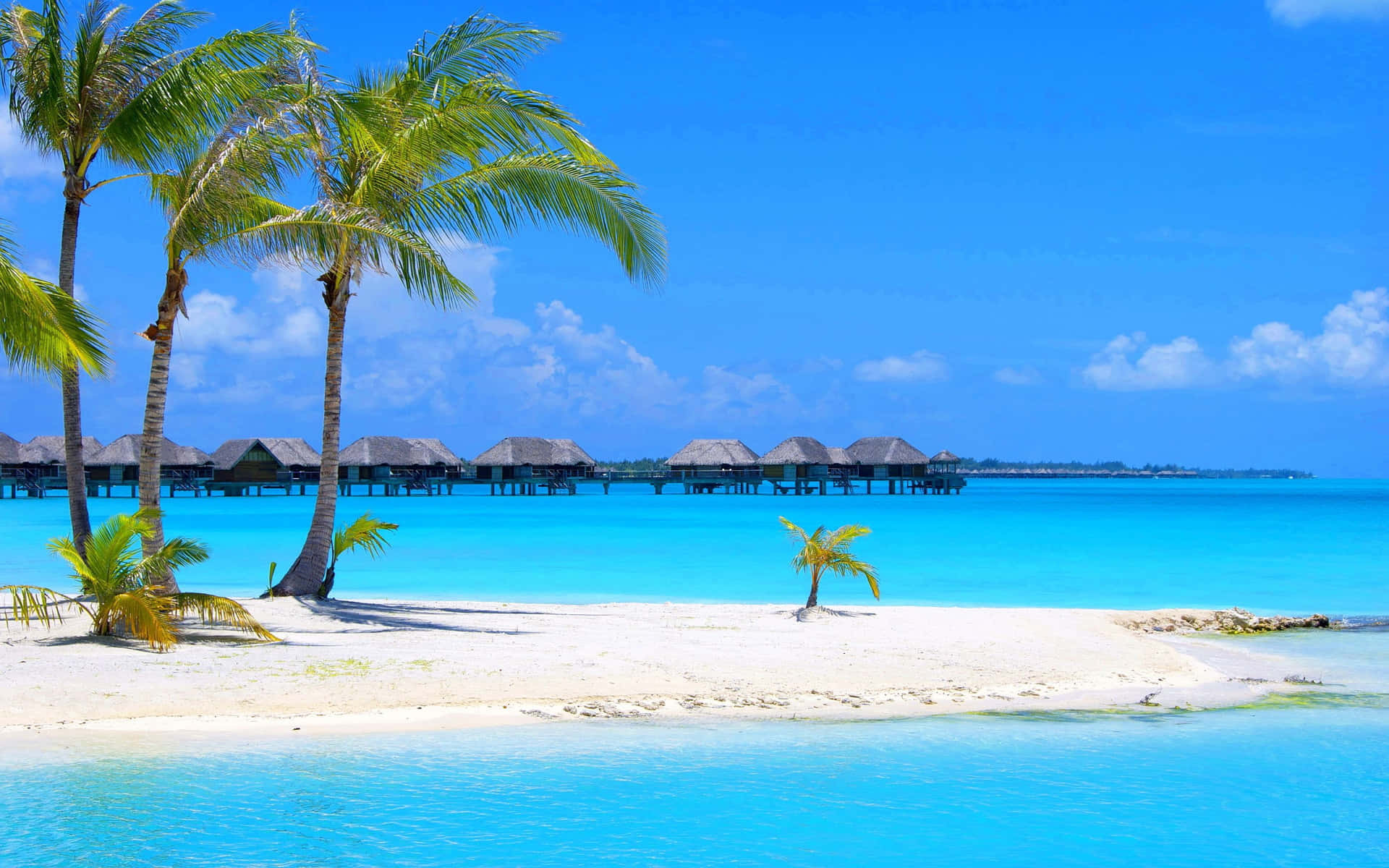 1920x1200 Crystal Clear Water Palm Beach Florida State United States Of America USA