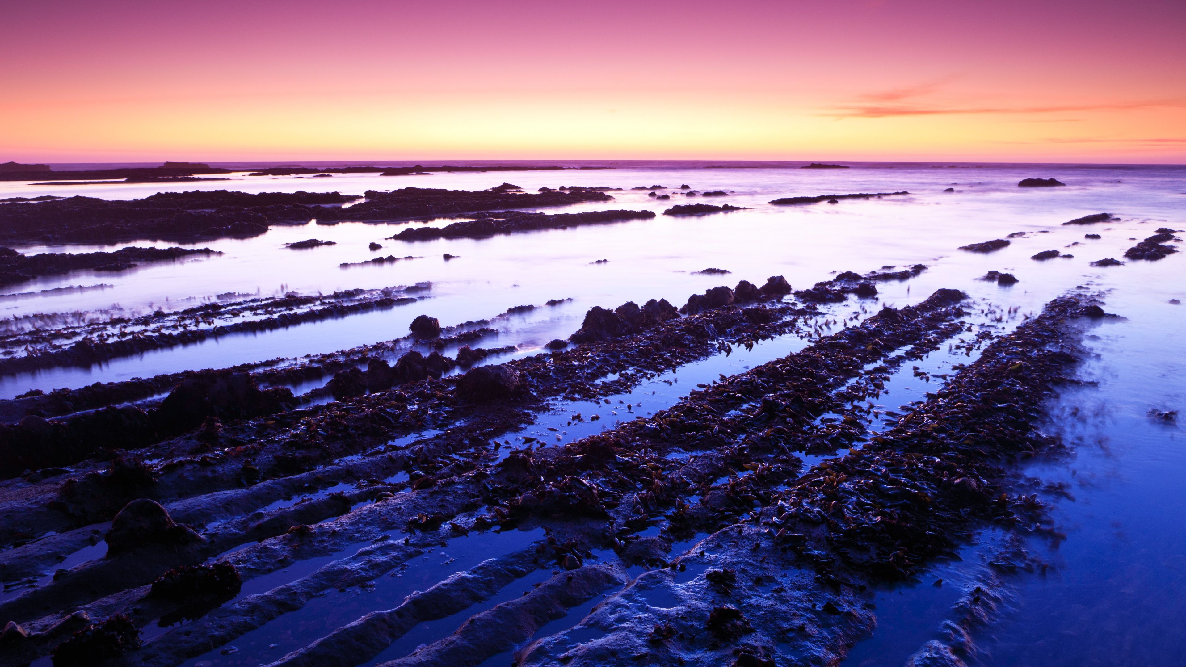 3840x2160 Fitzgerald marine reserve Wallpaper 4K, California, USA