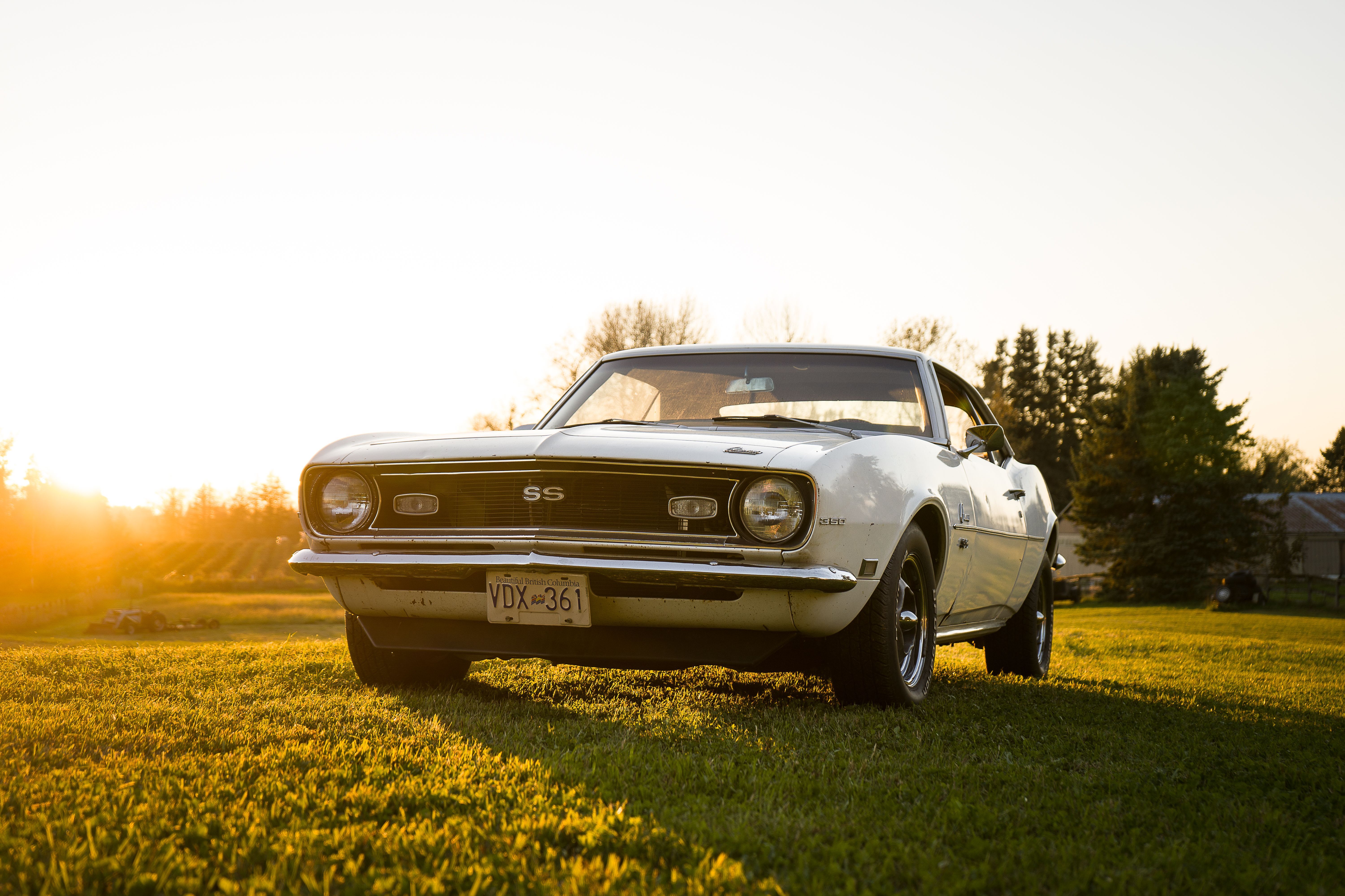 6000x4000 Classic 1968 Camaro in Sunset Landscape · Free