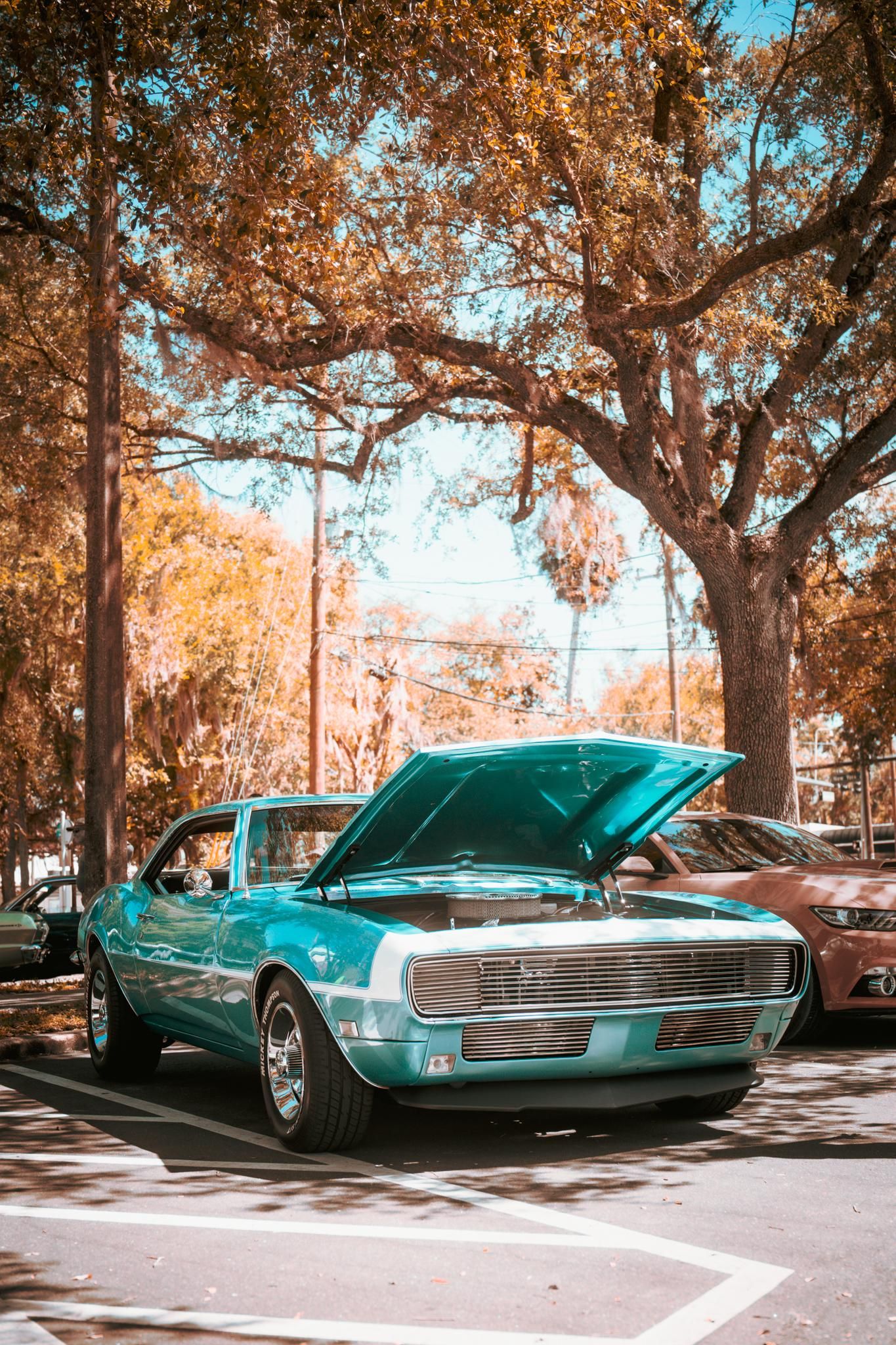 1365x2048 Camaro