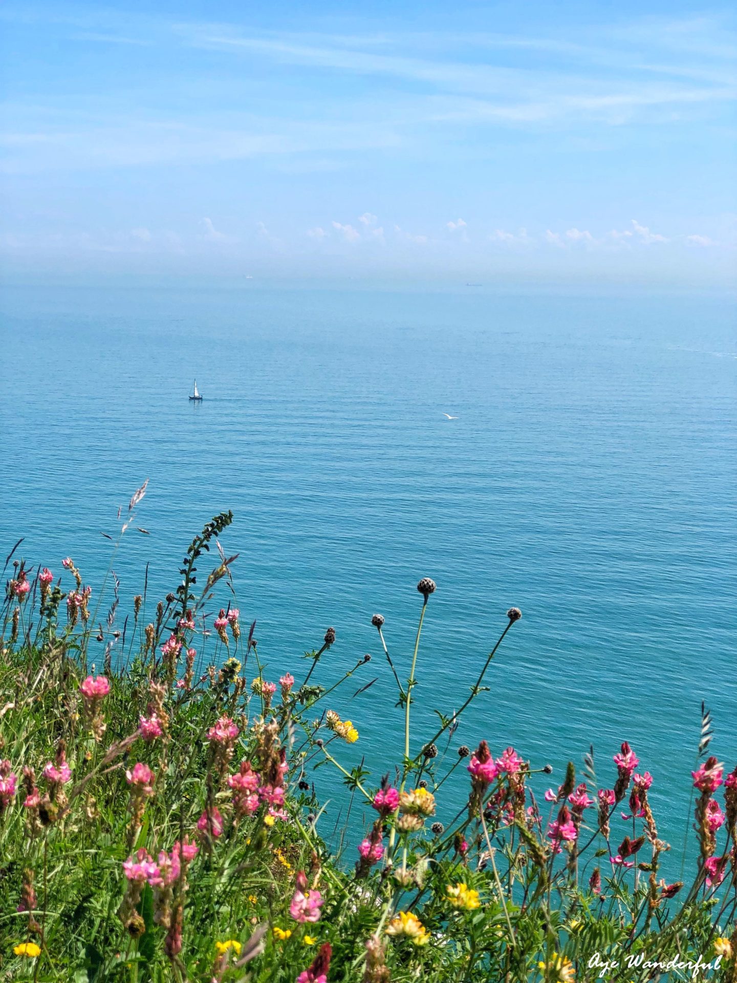 1440x1920 White Cliffs of Dover: An Easy Coastal Walking Trail