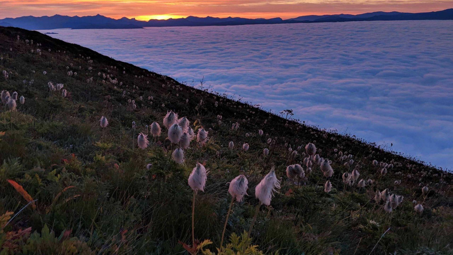 1920x1080 Sunrise on Tatoosh Peak Washington State wallpaper in 1920x1080 resolution