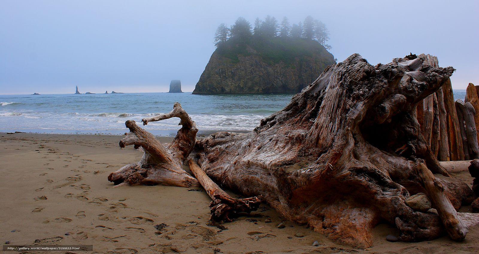 1600x849 Download wallpaper Beach near La Push, Washington, sea, snag free desktop wallpaper in the resolution 3504x1860