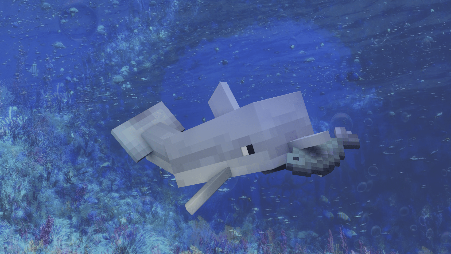 1920x1080 Download Water Dolphin Video Game Minecraft HD Wallpaperx1080