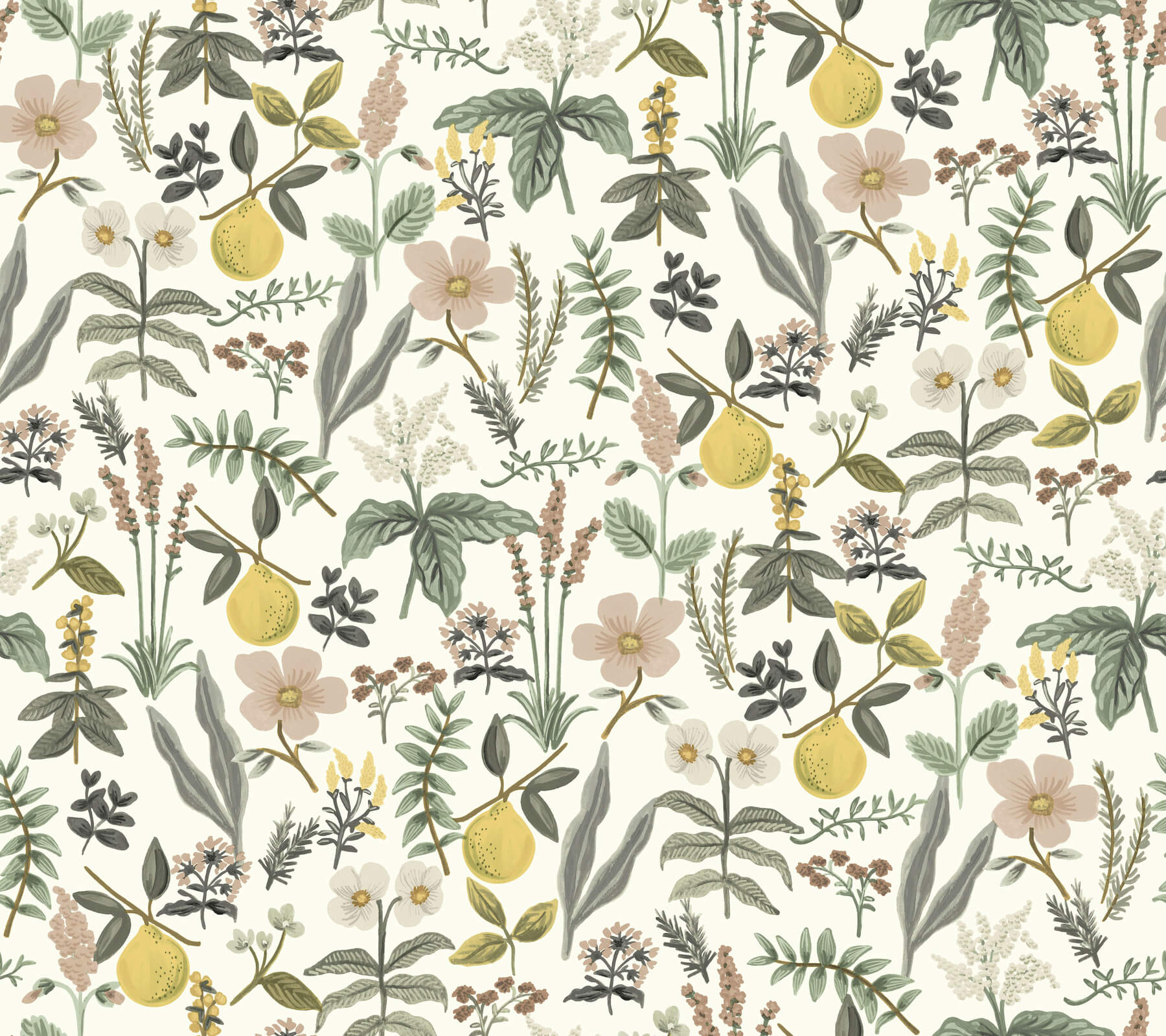 1800x1600 York Wallcoverings. PSW1678RL Garden Cream Botanical Premium Peel + Stick Wallpaper Rifle Paper Co