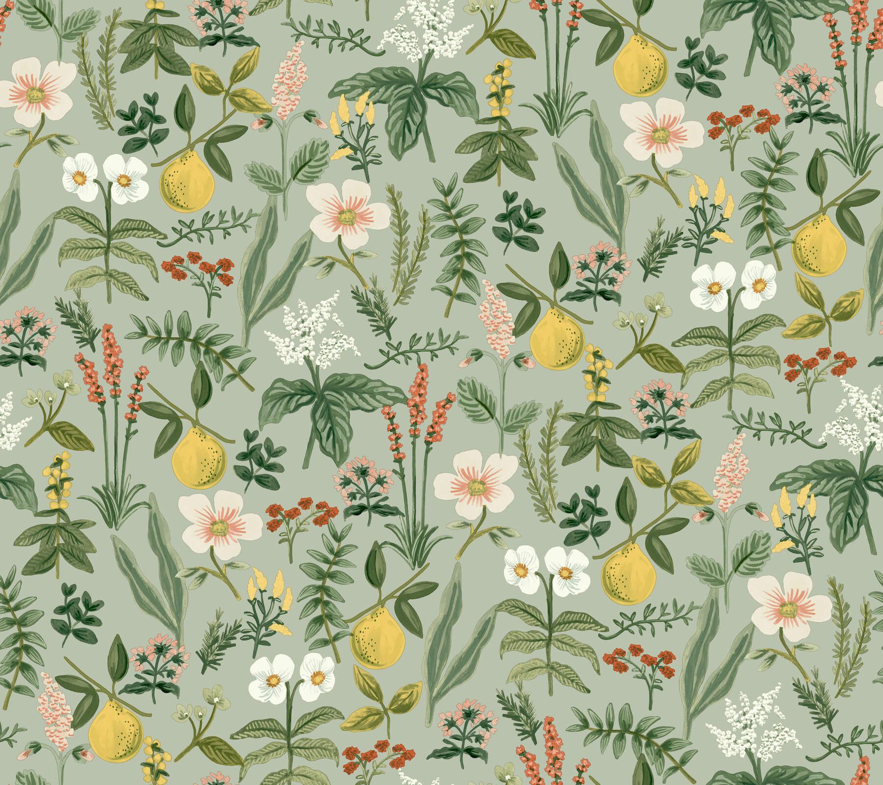1800x1600 York Wallcoverings. PSW1675RL Garden Sage Botanical Premium Peel + Stick Wallpaper Rifle Paper Co