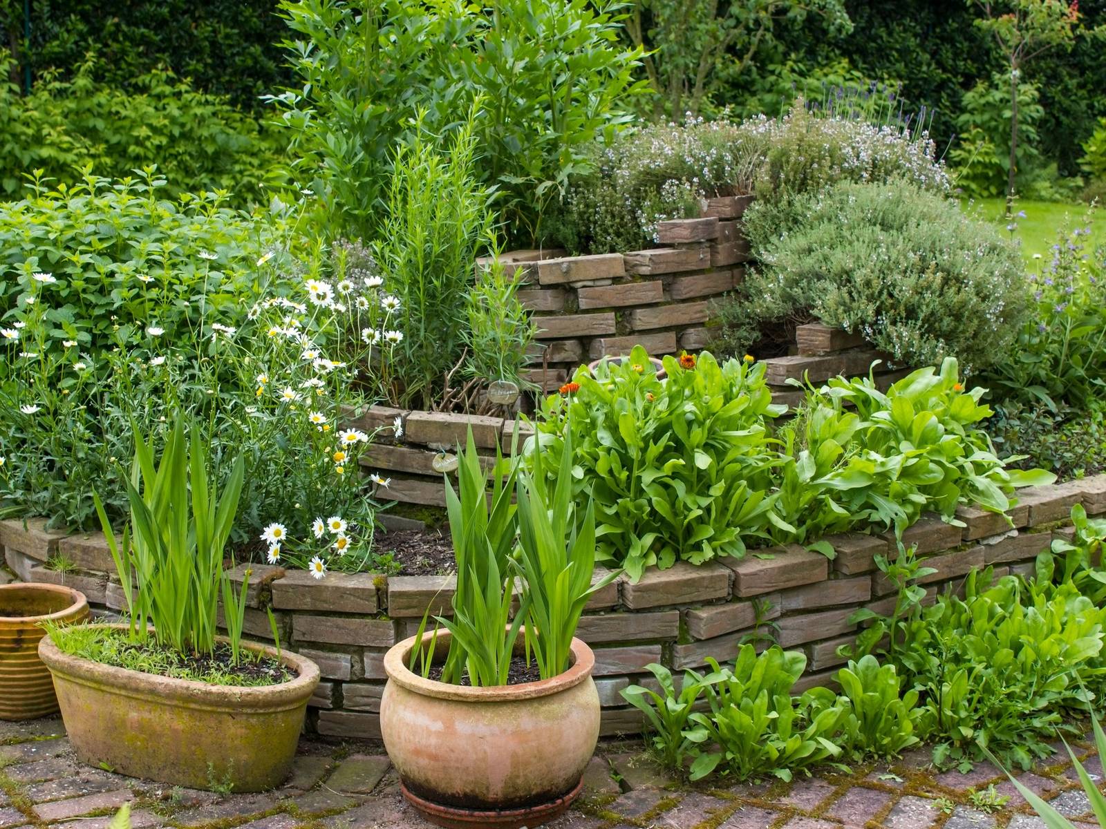 1600x1200 Transform Your Backyard with a Beautiful Medicinal Herb Spiral