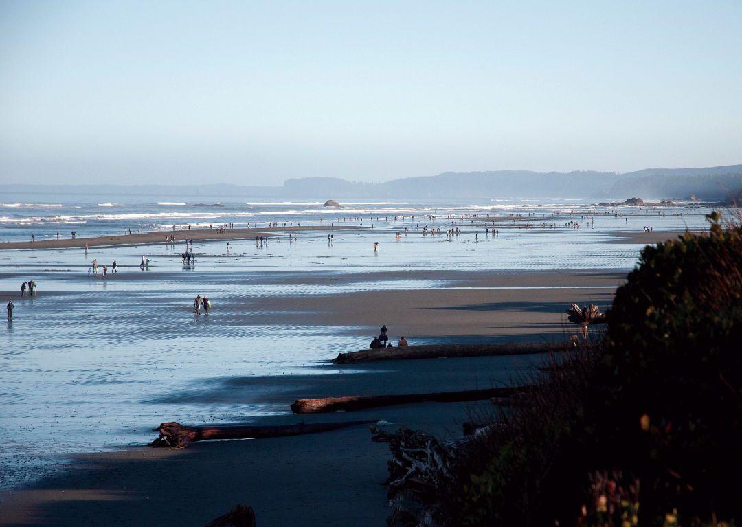 1080x767 Washington's 25 Best Beaches