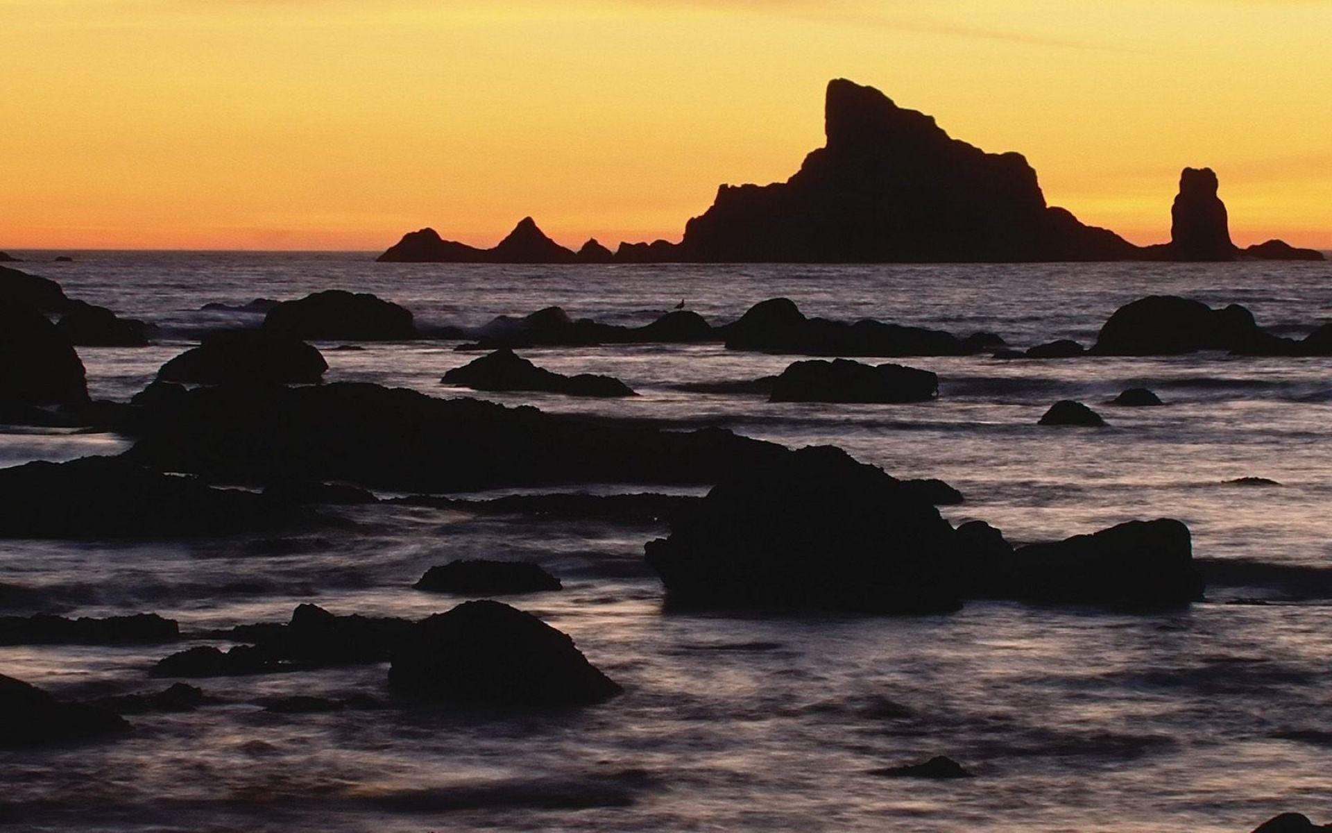 1920x1200 National Park Beach Washington wallpaper. National Park Beach Washington