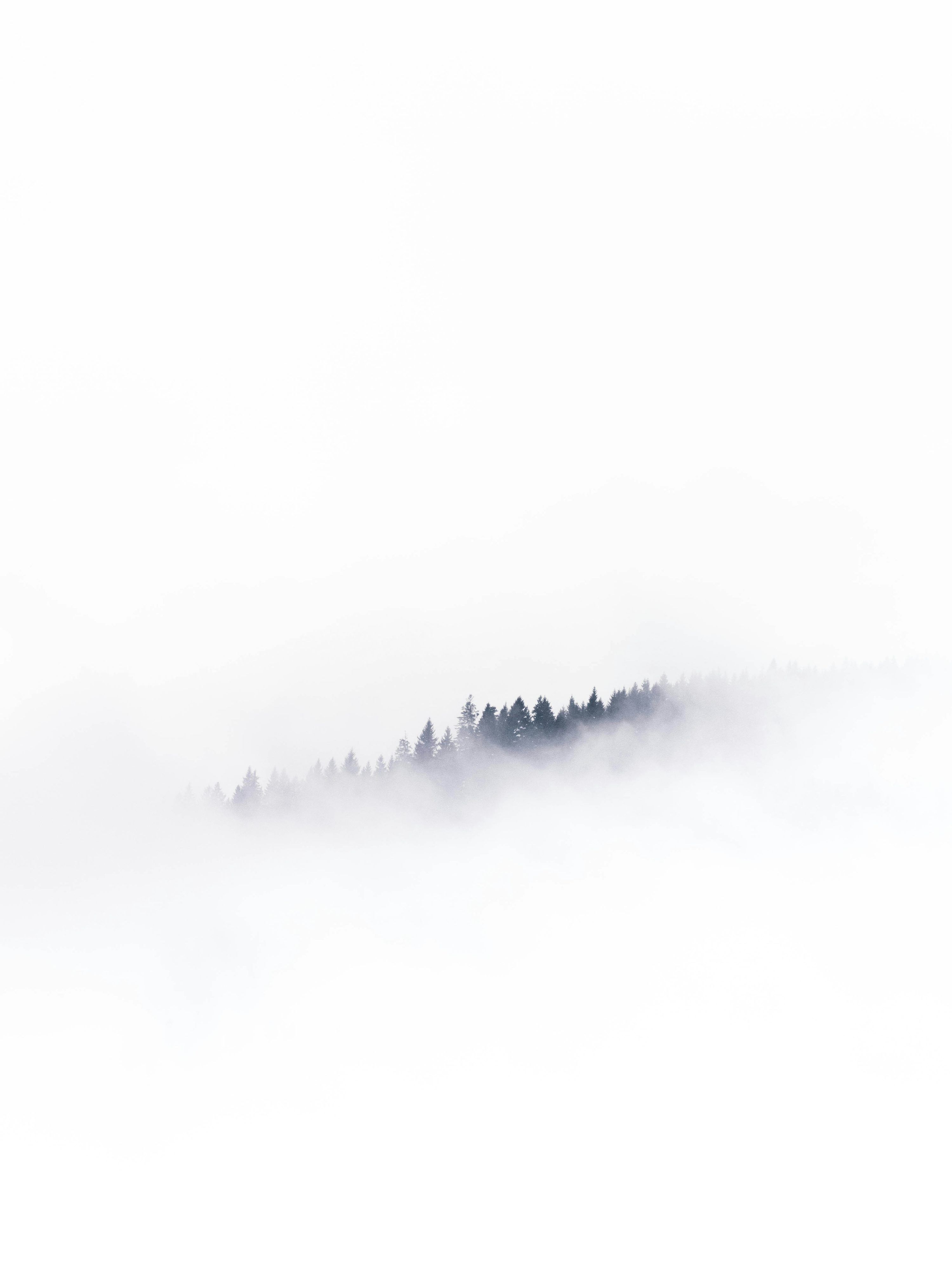 3000x4000 White Wallpaper: Free HD Download [4K]