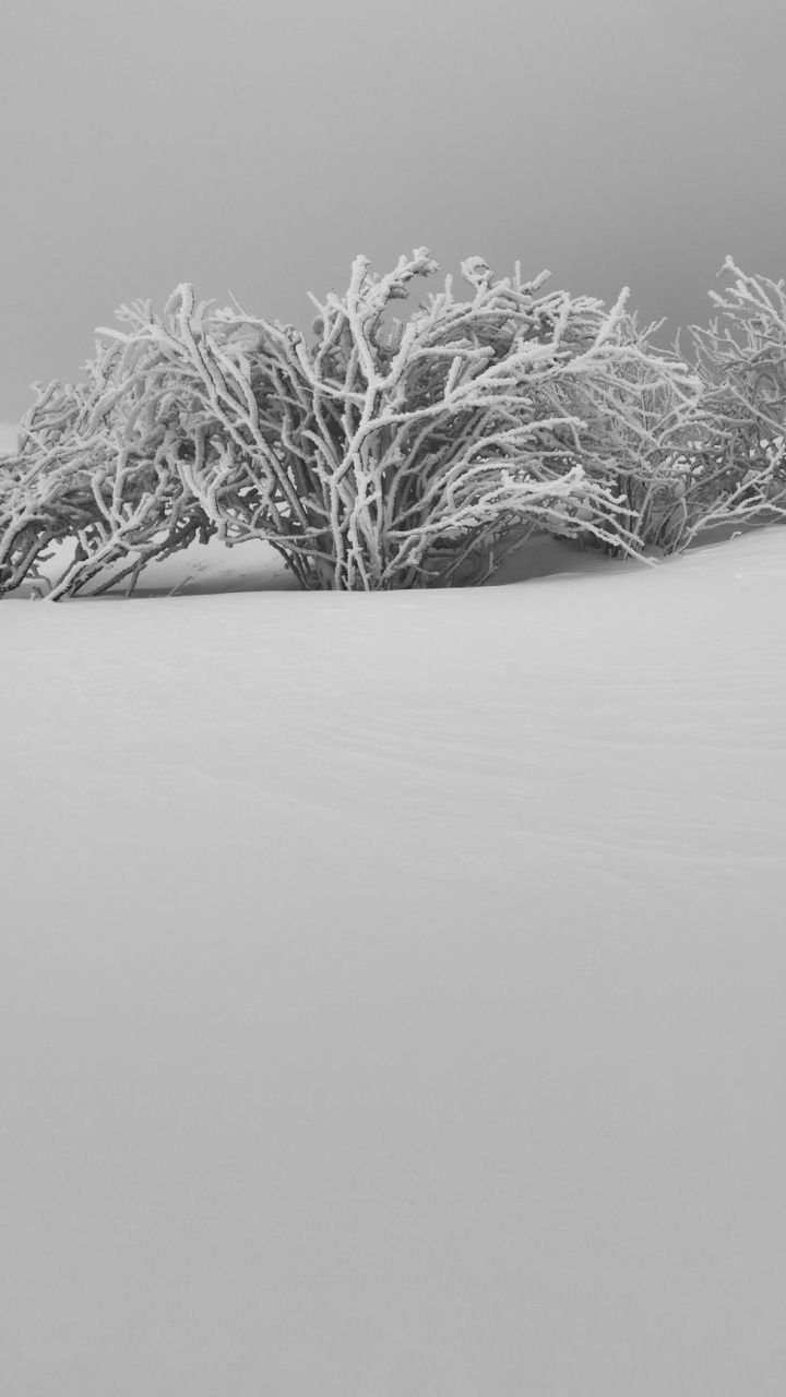 720x1280 Winter White Snow Aesthetic Black and White 4K UHD Wallpaper for UltraHD Desktop and TV : Widescreen and UltraWide Display : Dual Monitor : Smartphone and Tablet Devices