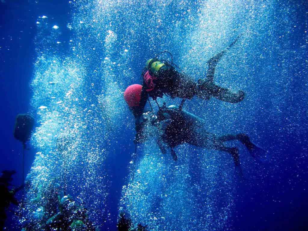 1024x768 The myth behind the Zenobia