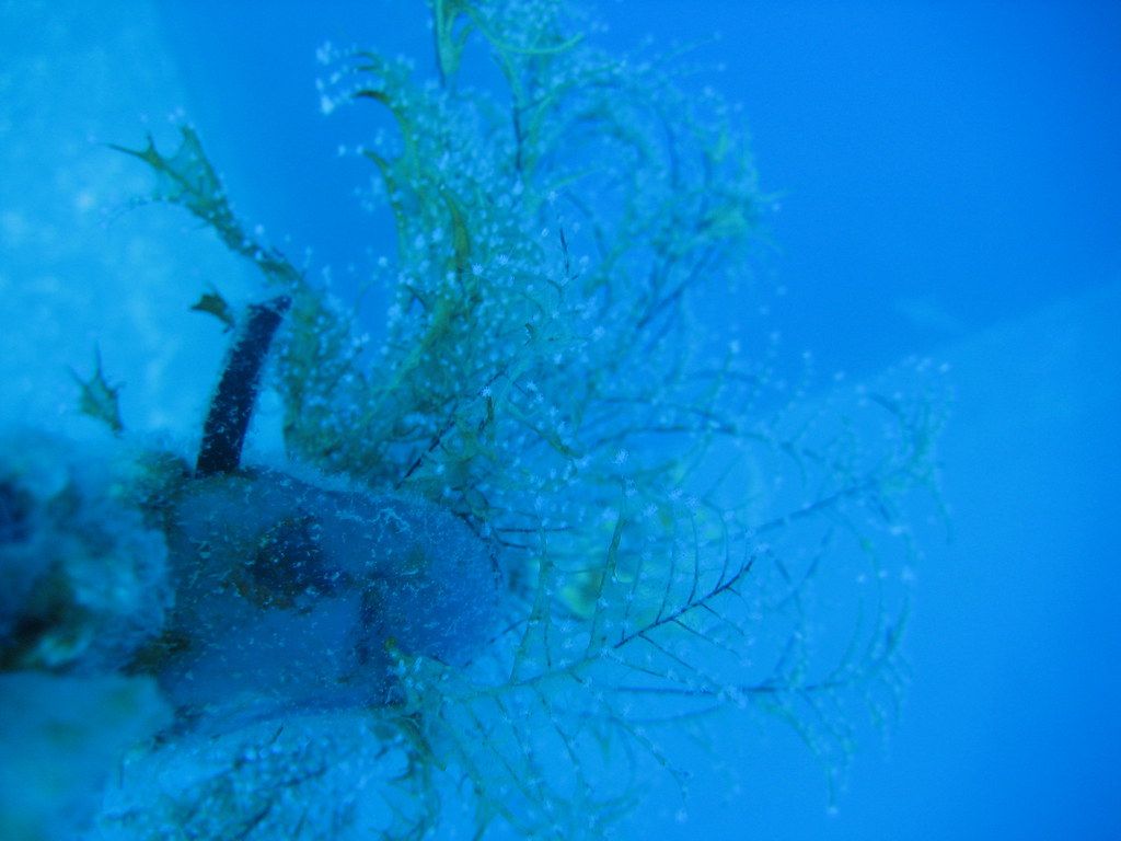 1024x768 Image 035