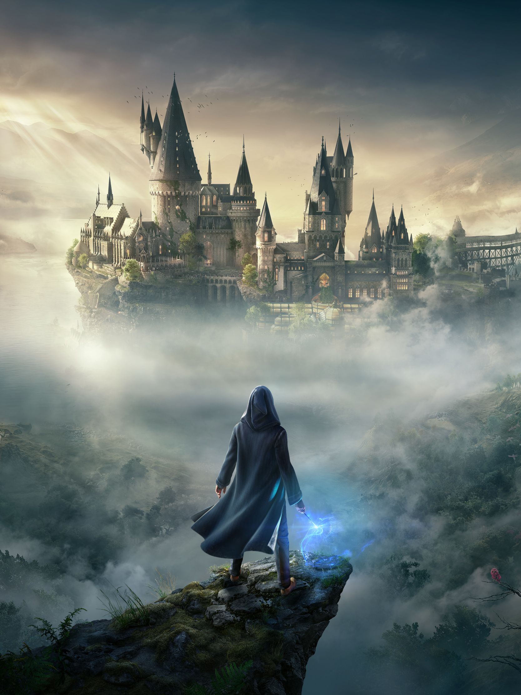 1668x2224 Desktop wallpaper: Harry Potter, Hogwarts Legacy, Video Game 4K free download for PC. 489690