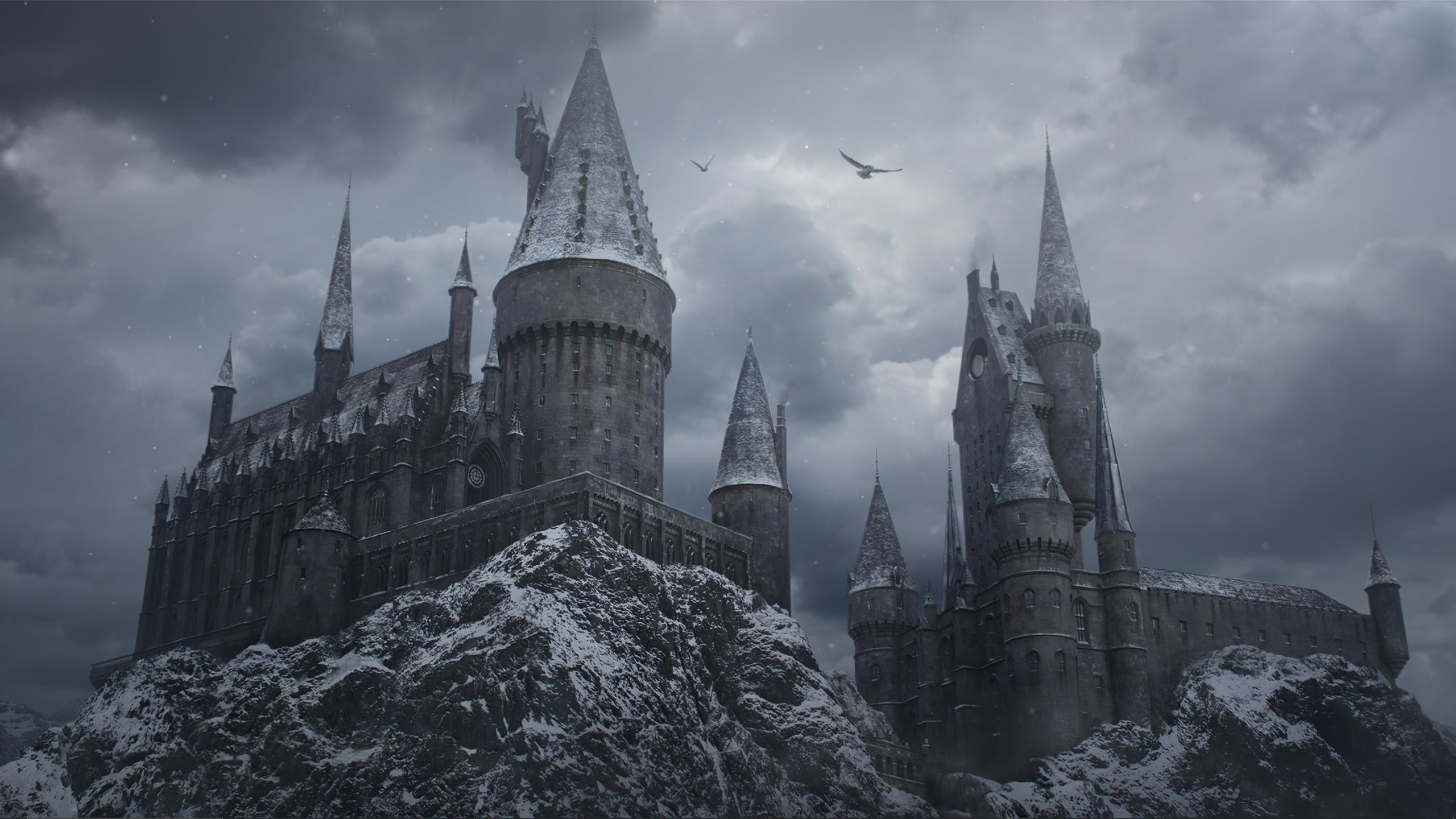 2560x1440 Harry Potter Winter 4k Wallpaper