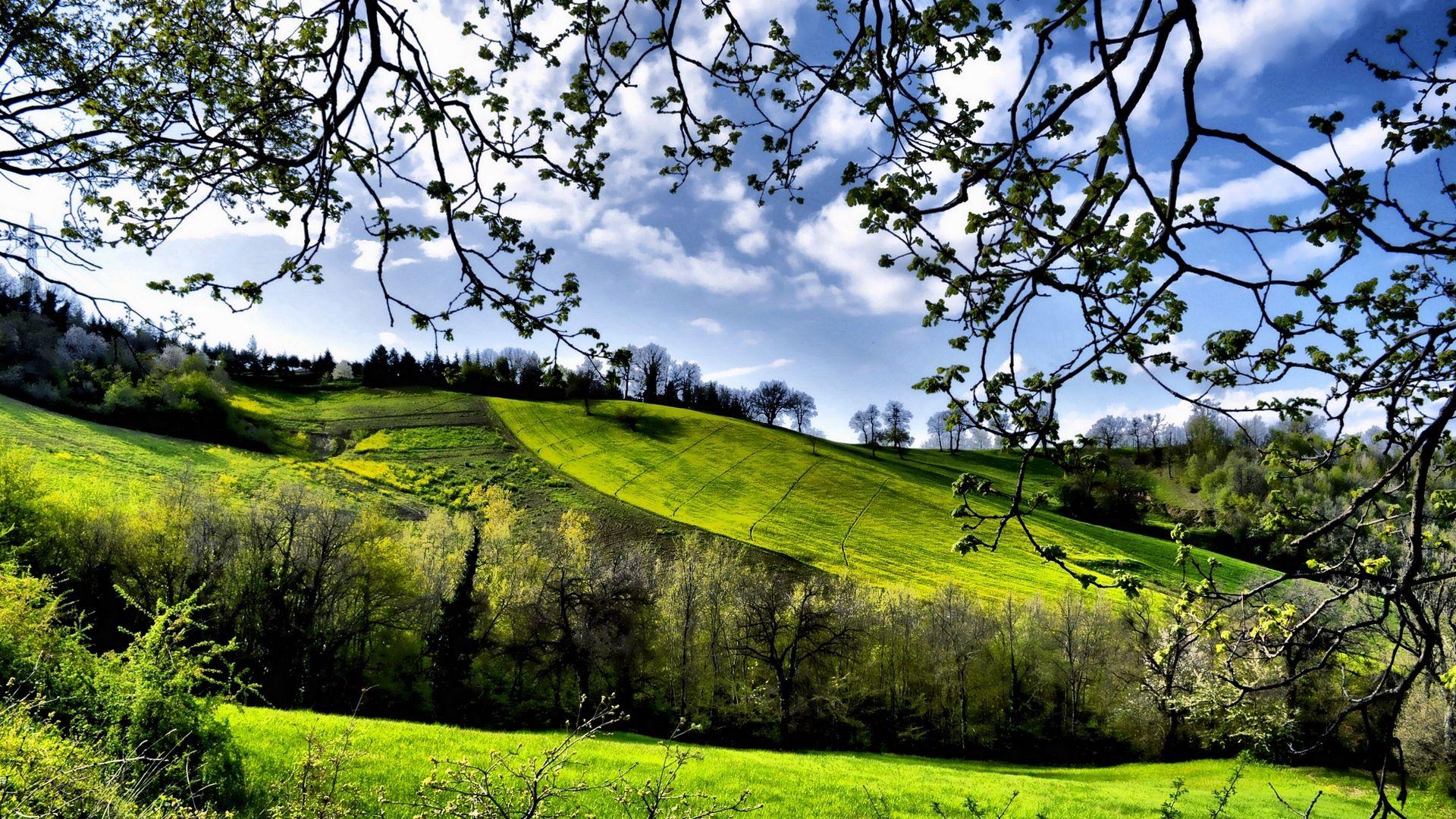 1920 X 1080 Spring Wallpapers - Top Free 1920 X 1080 Spring Backgrounds ...