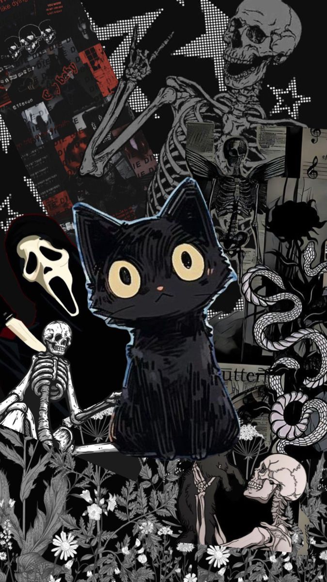675x1200 My cat
