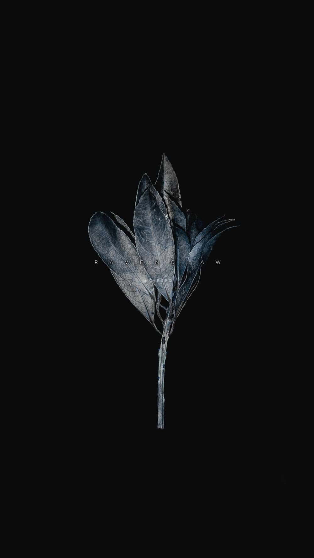 1000x1778 Dark Aesthetic Wallpaper HD