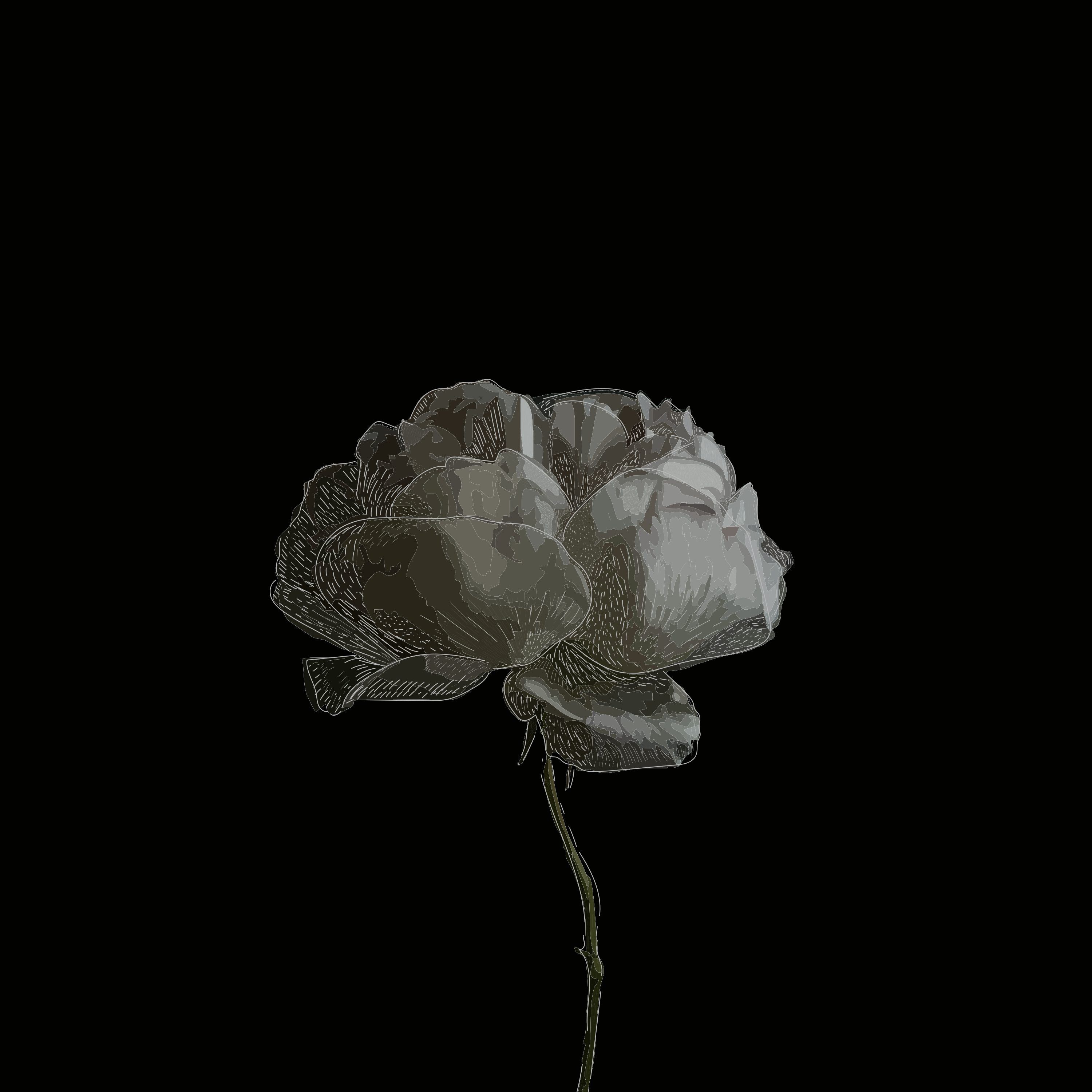 3000x3000 Dark Illustrations
