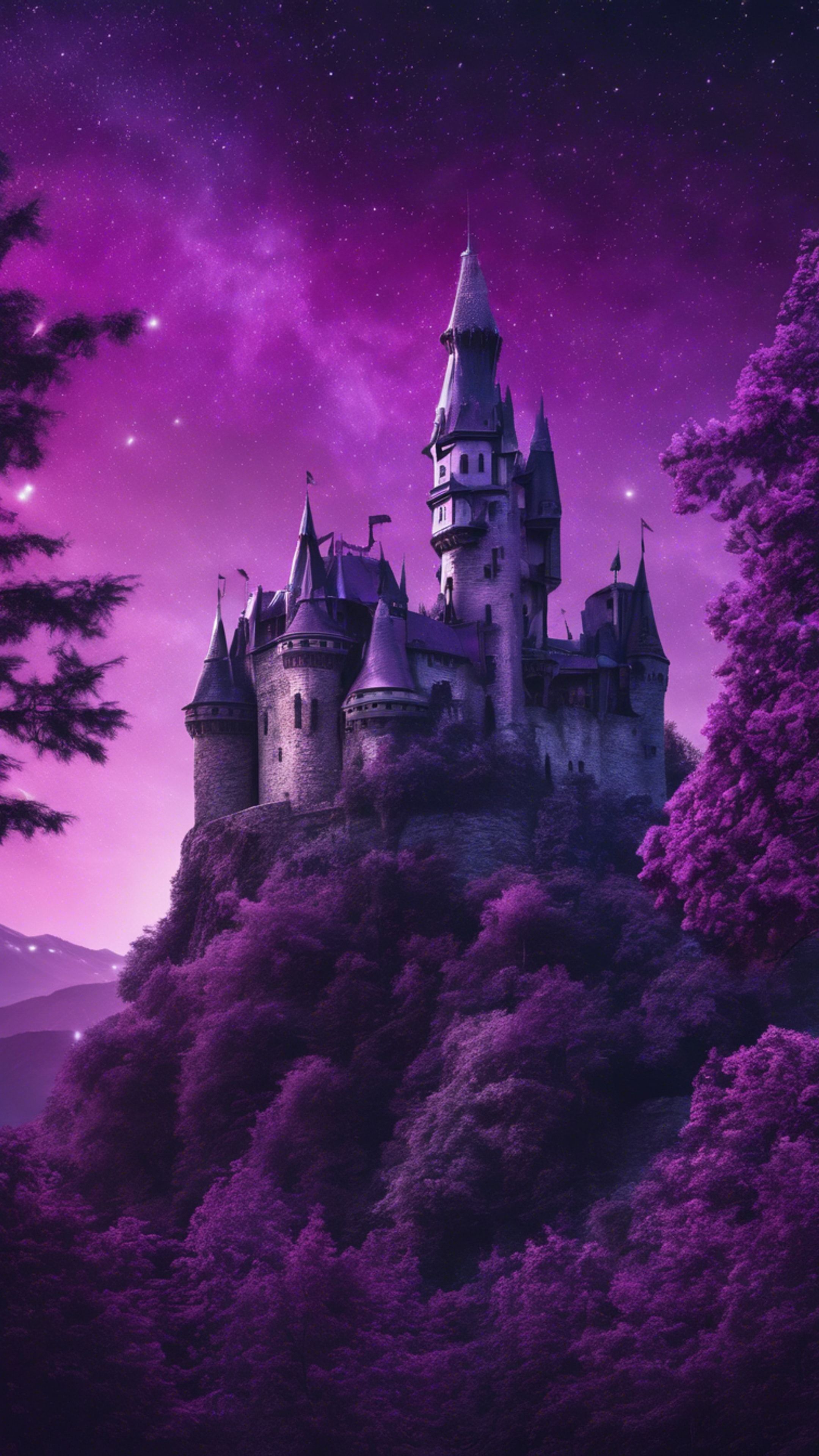 2160x3840 An imaginative collage including a deep purple night sky, a majestic purple castle, and a lush violet forest. Wallpaper [d69784f3cee744e79a0a]