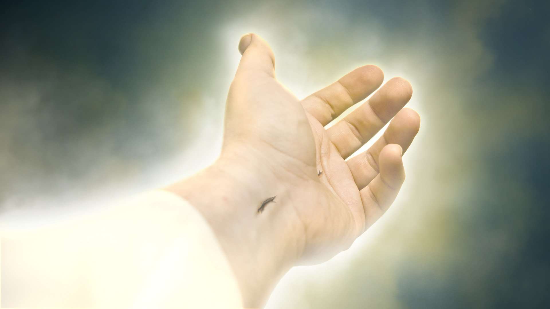 1920x1080 Striking number of Americans believe in Jesus' physical resurrection on View