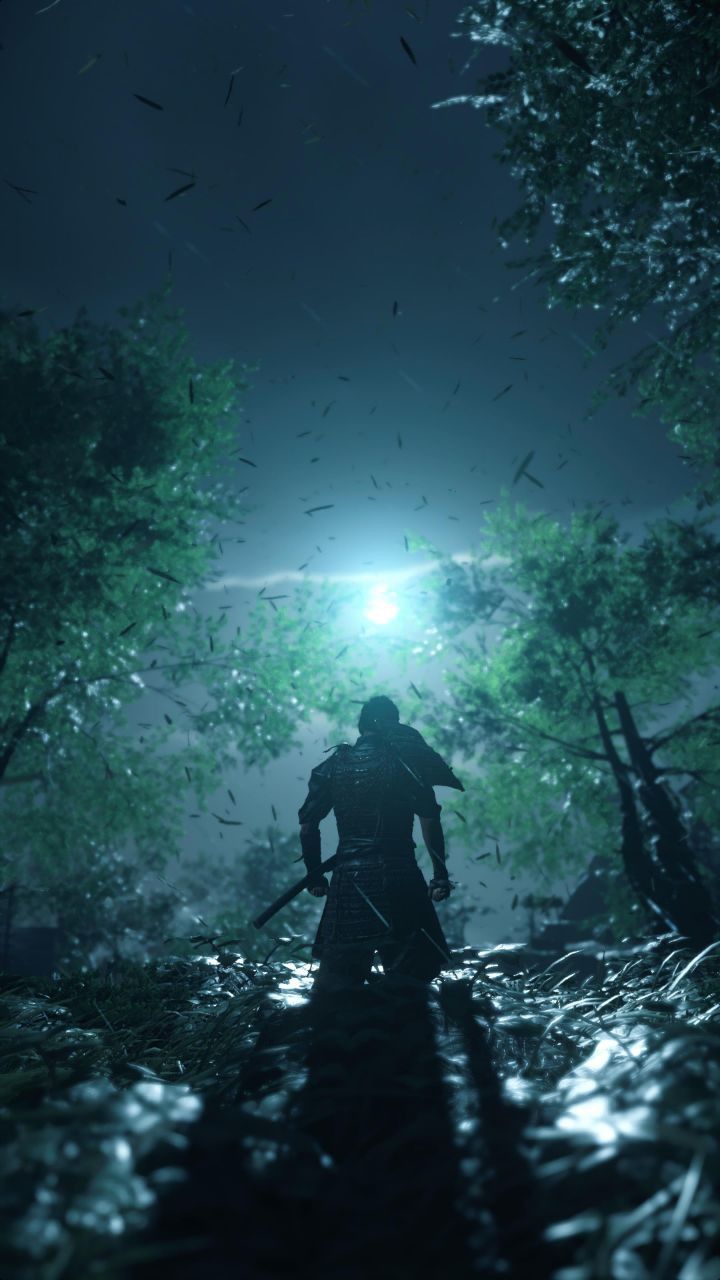 720x1280 Ghost of Tsushima night