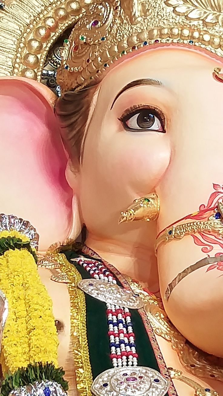 736x1308 Hubli Maharaja