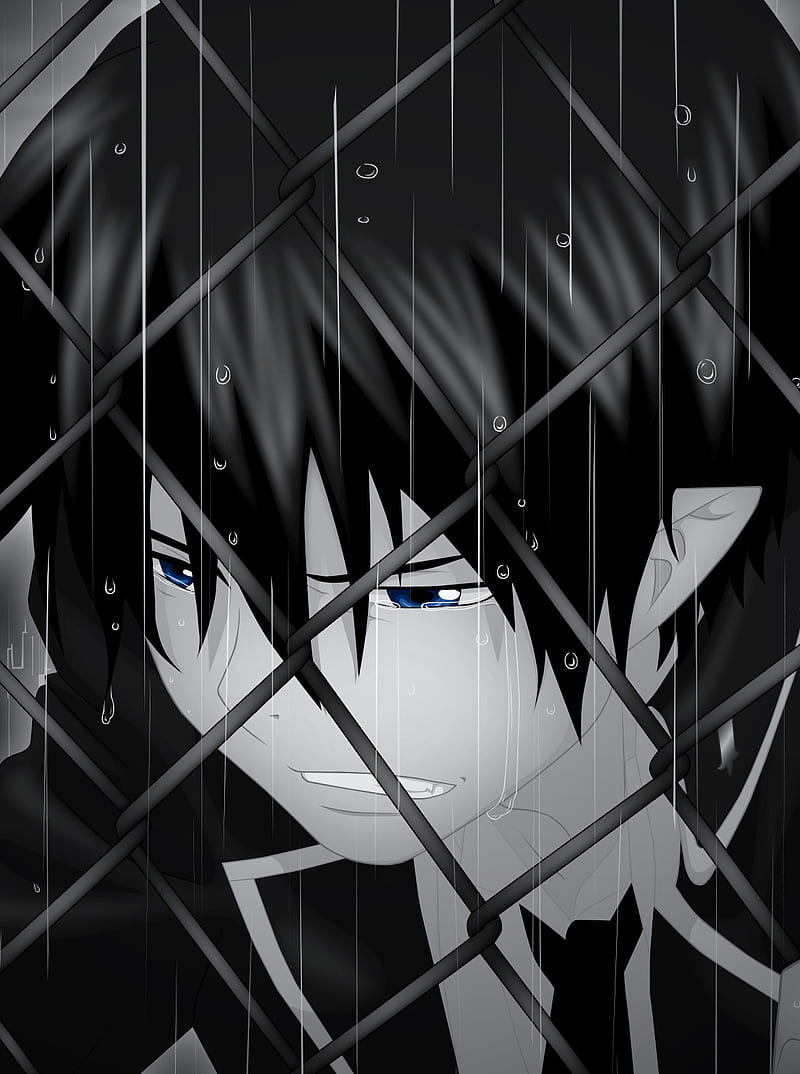 800x1074 Ao No Exorcist, anime, blue, exorcist, HD phone wallpaper