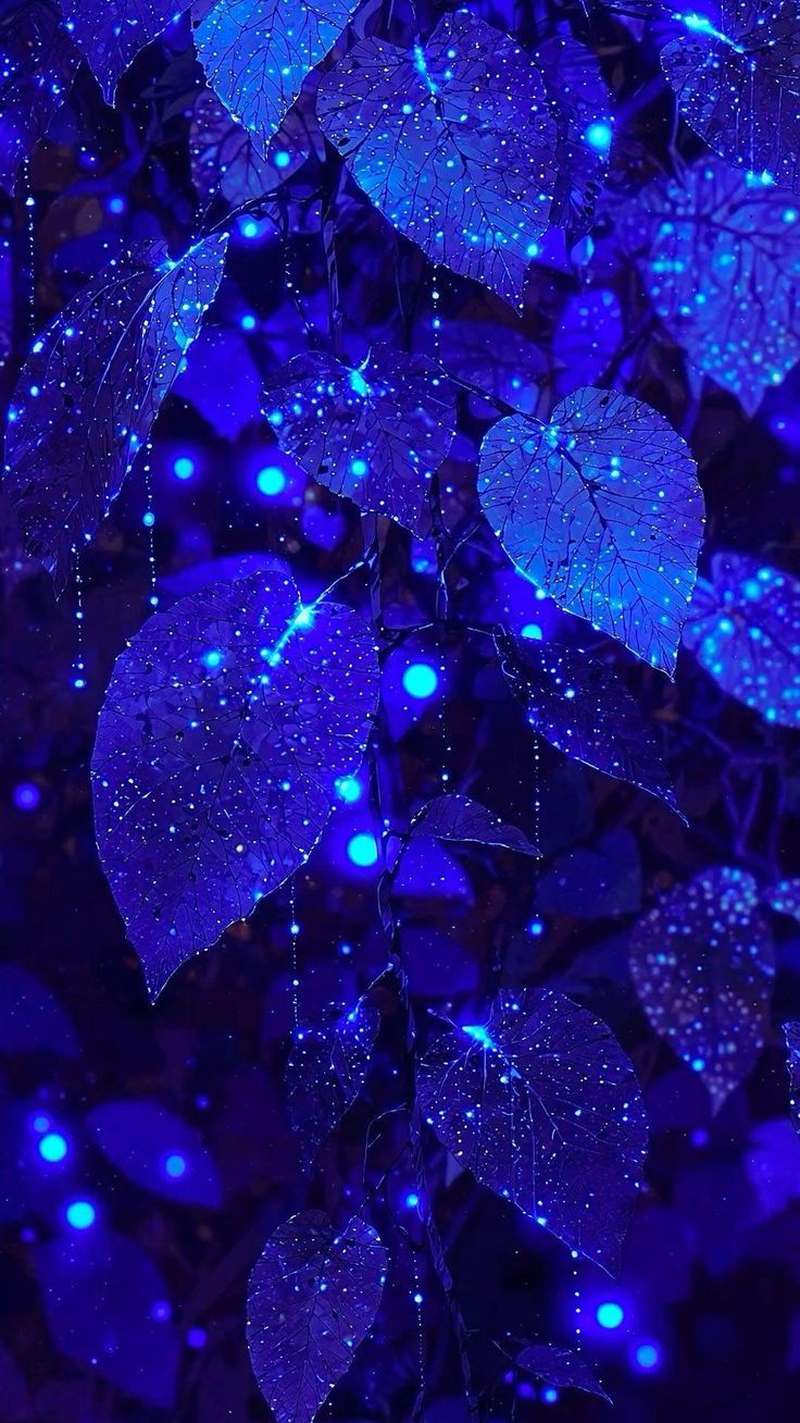 736x1308 Blue forest aesthetic. Blue ethereal forest, Night forest blue light, Blue water wallpaper