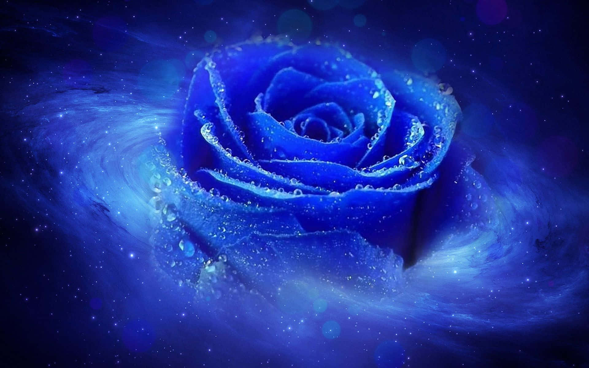 1920x1200 An Ethereal Blue Rose Wallpaper
