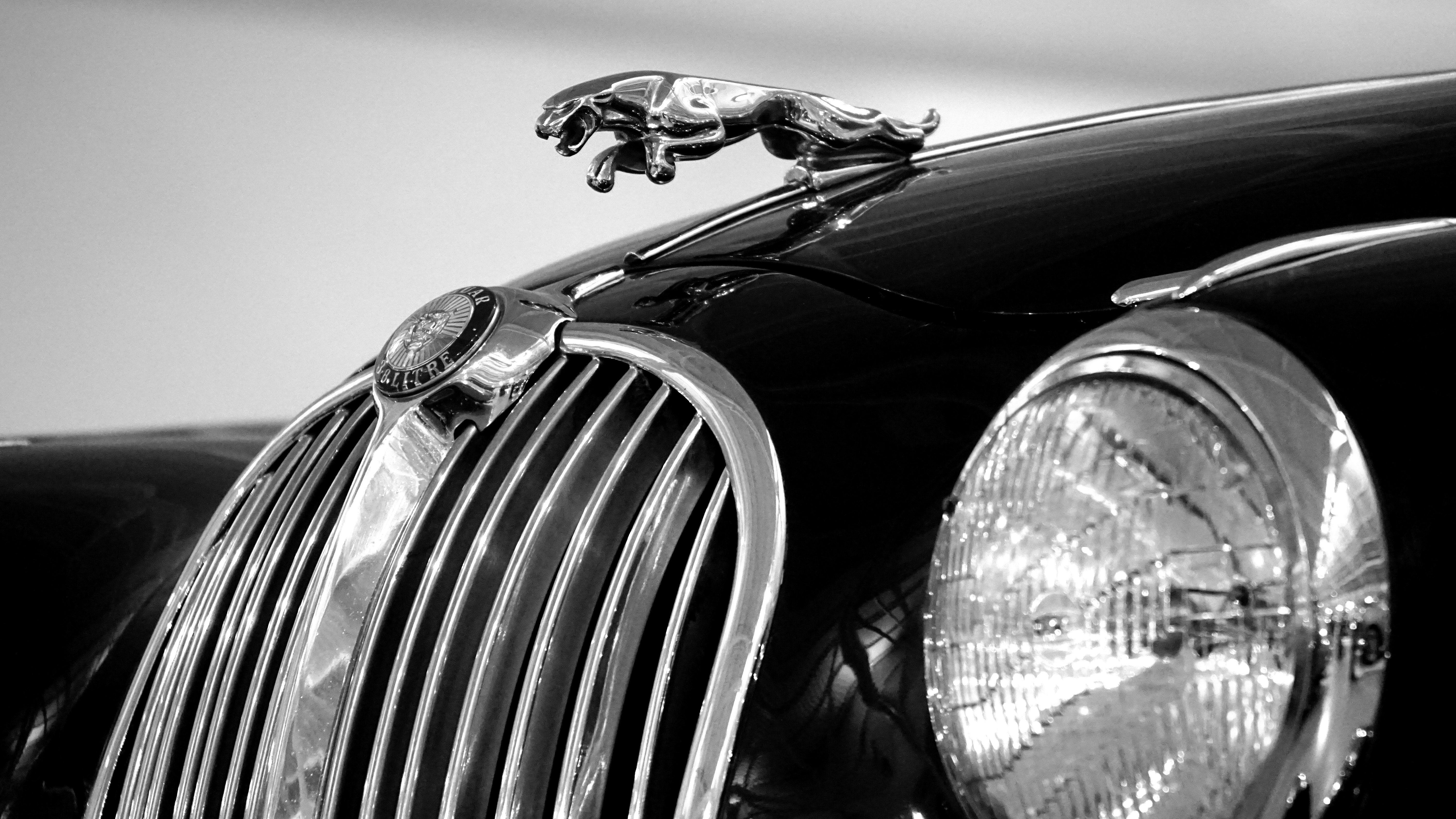 6000x3376 Emblem Black Jaguar Car Logo