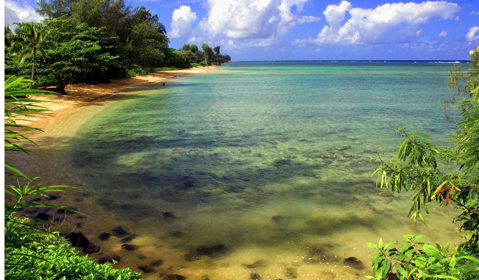 1600x934 Hanalei Bay Beach Kauai, Hawaii. Wallpaper view. HD nature wallpaper, Nature wallpaper, Landscape wallpaper